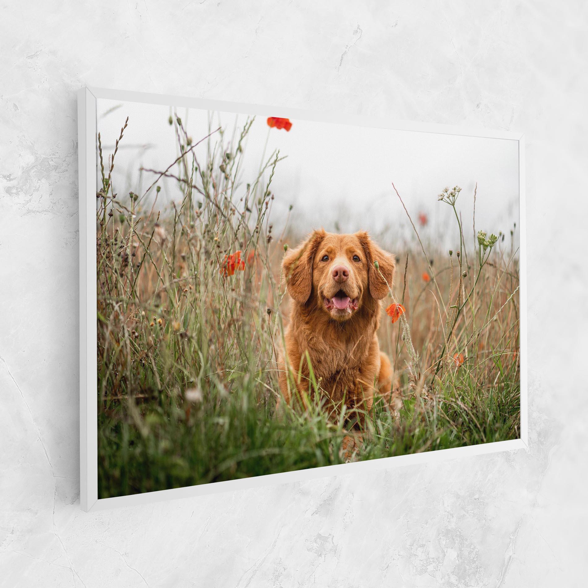 Leinwandbild Red Flowers Dog mockup 1