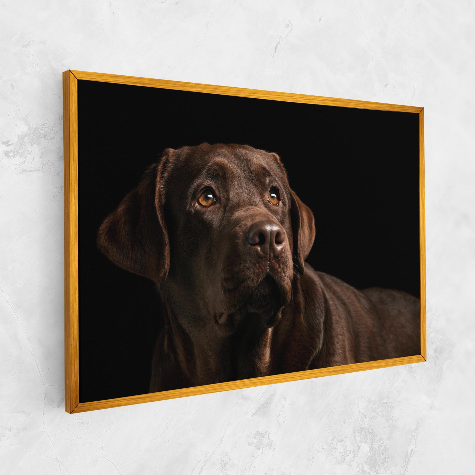 Leinwandbild Brown Labrador mockup 1