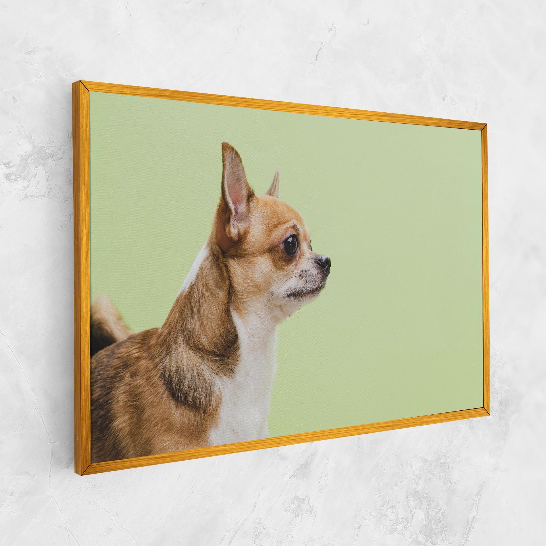 Chihuahua Dog mockup 1