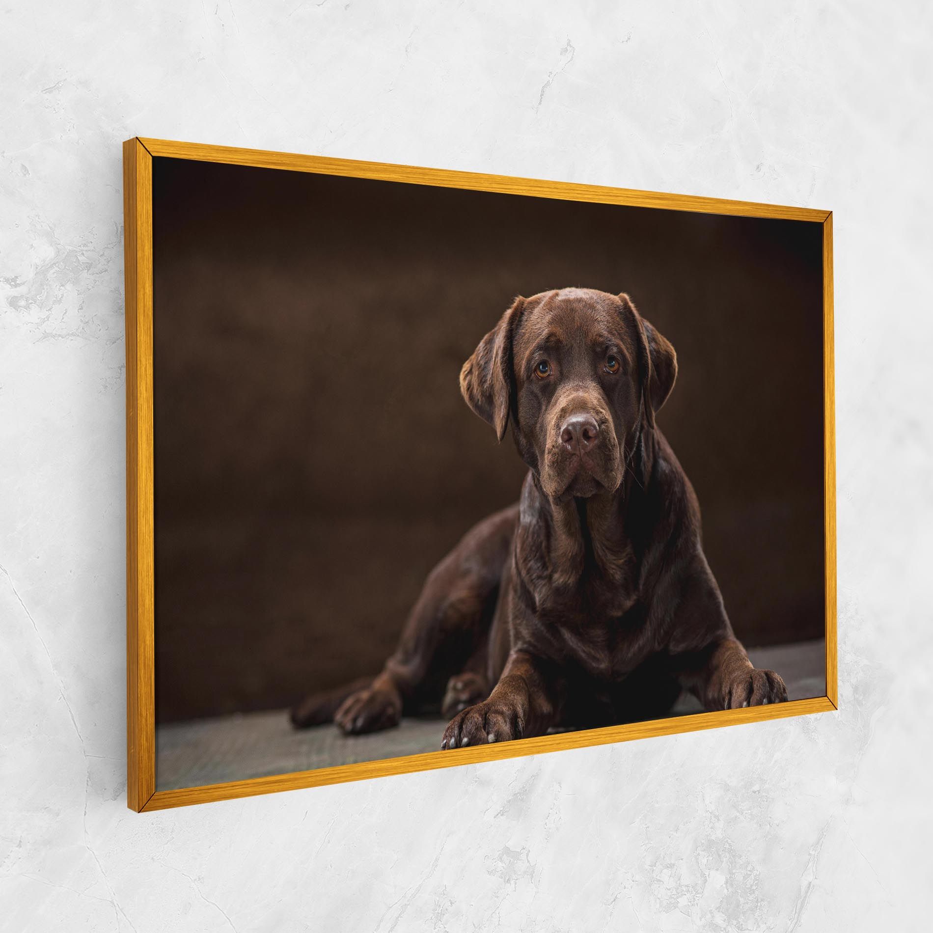 Cute  Brown Labrador mockup 1