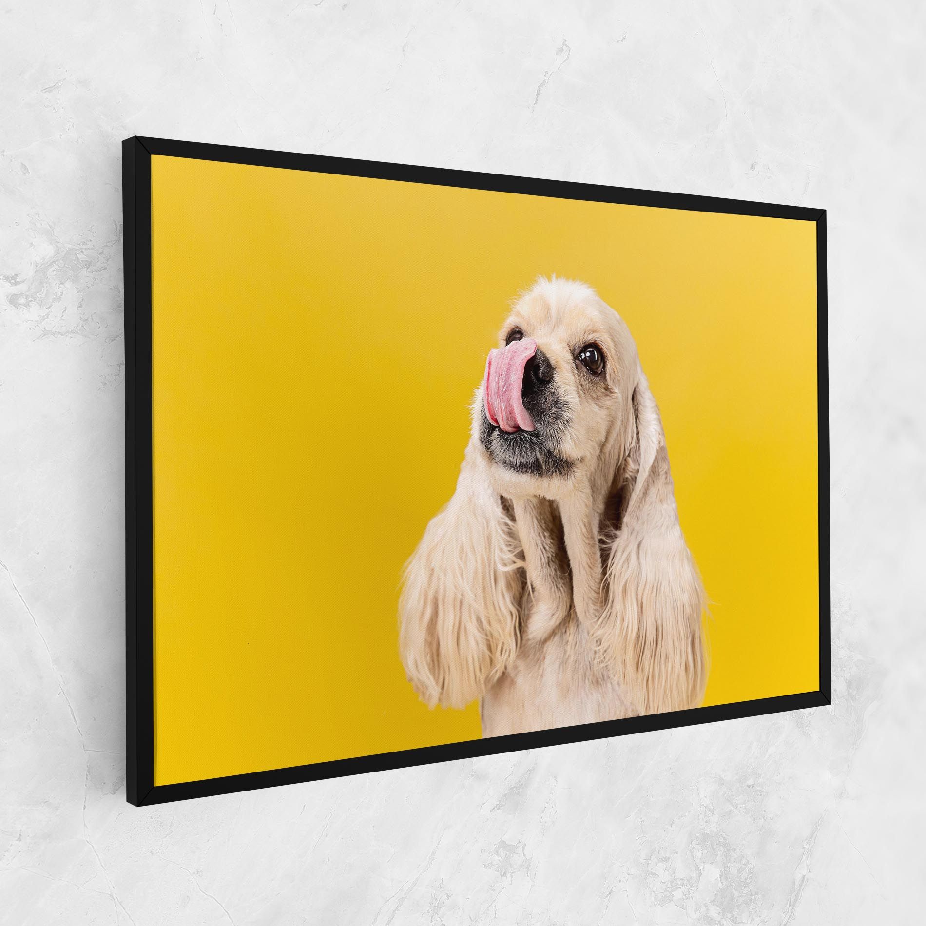 American Spaniel mockup 1
