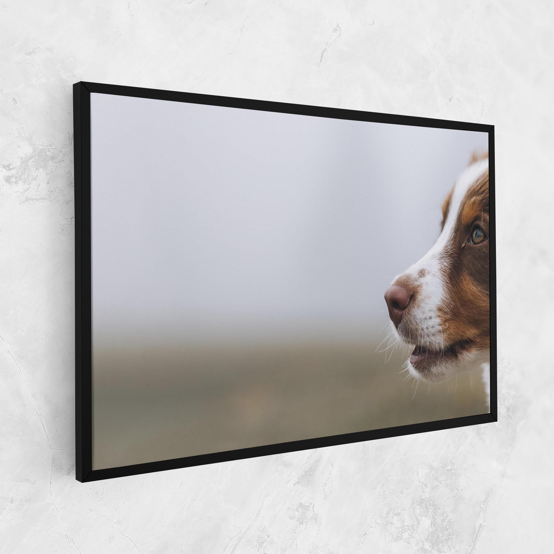 Brown White Dog mockup 1