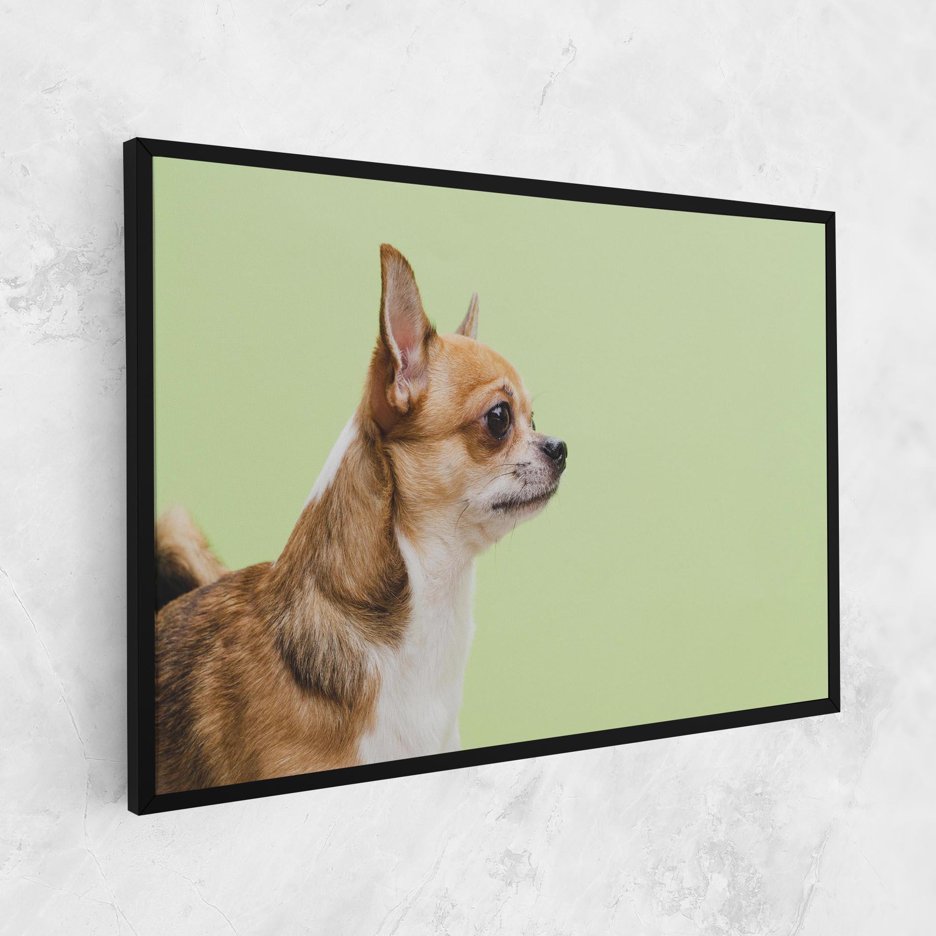 Leinwandbild Chihuahua Dog mockup 1