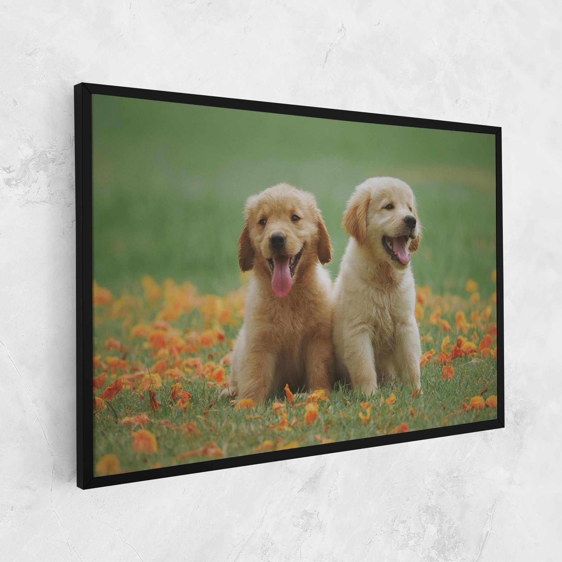Happy Dogs mockup 1