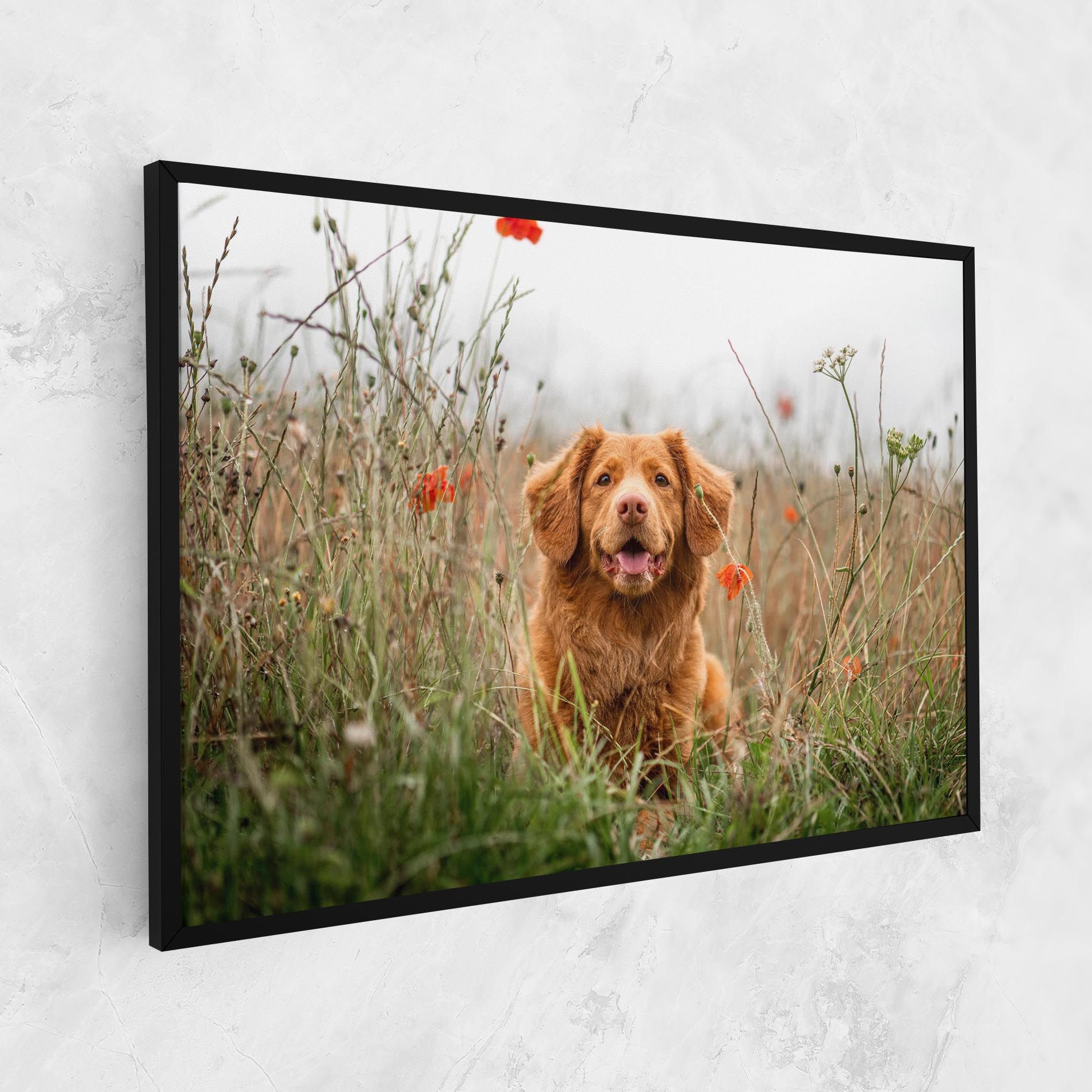 Red Flowers Dog mockup 1