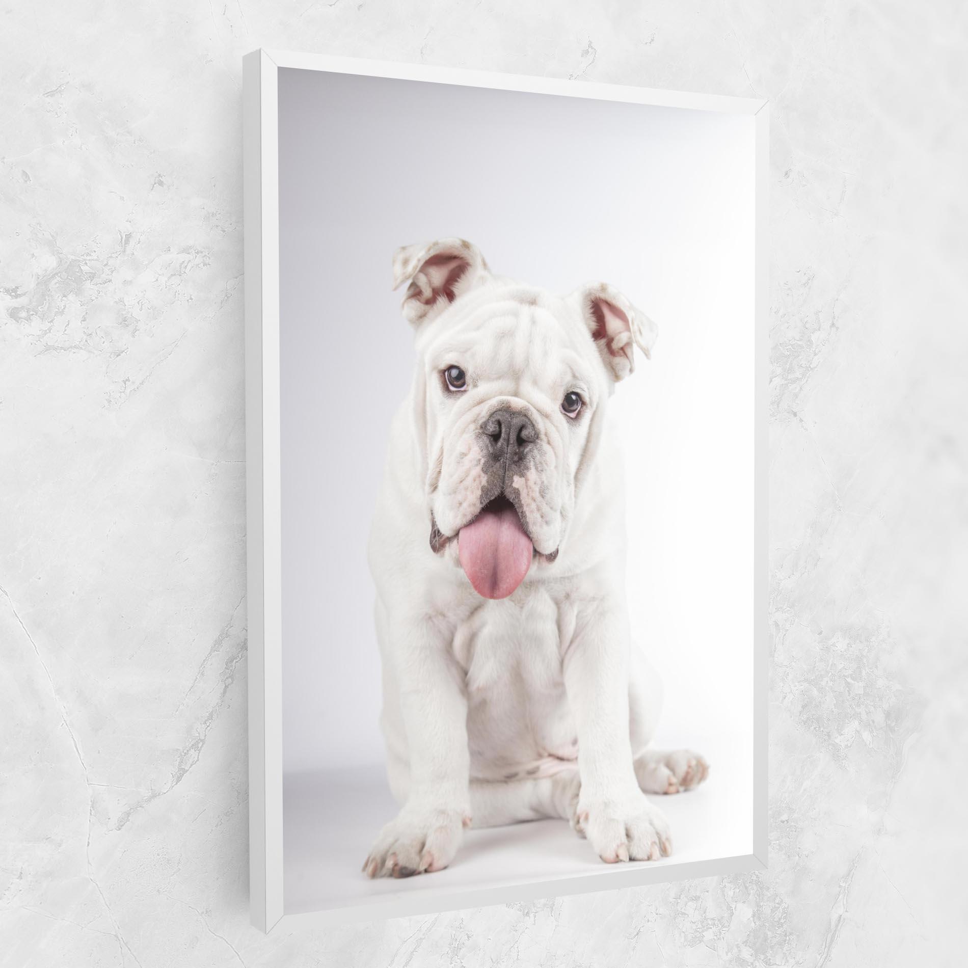 Leinwandbild English Bulldog mockup 1
