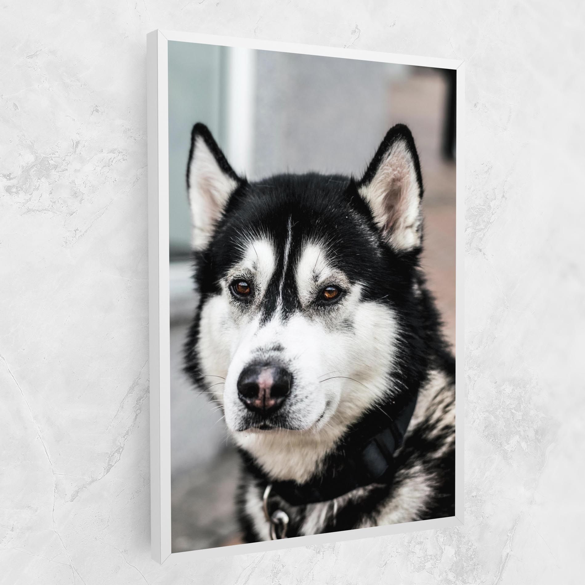 Husky Dog mockup 1