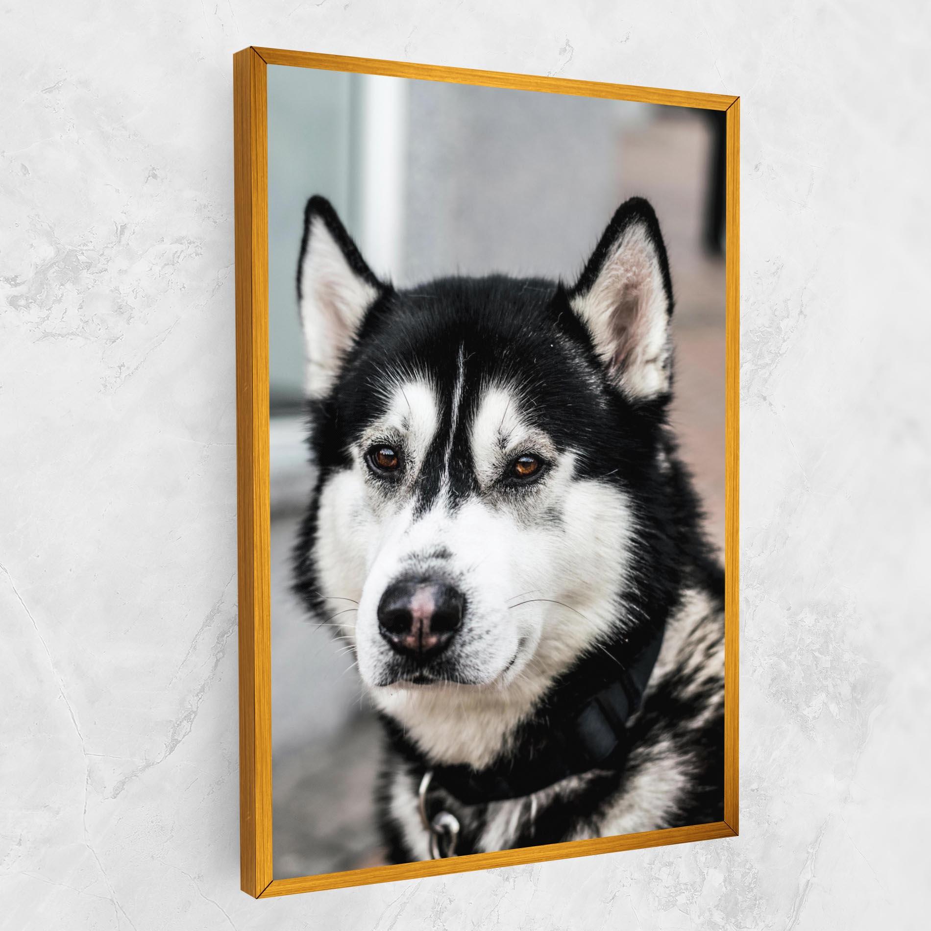 Leinwandbild Husky Dog mockup 1