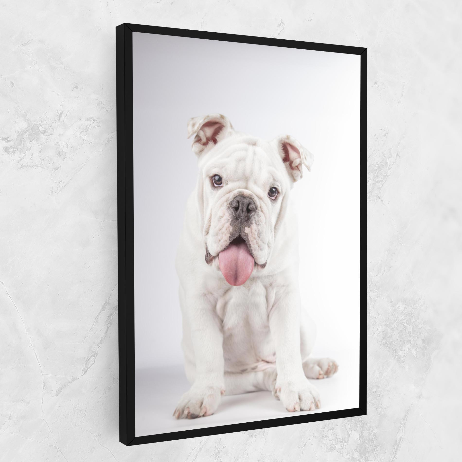 Leinwandbild English Bulldog mockup 1