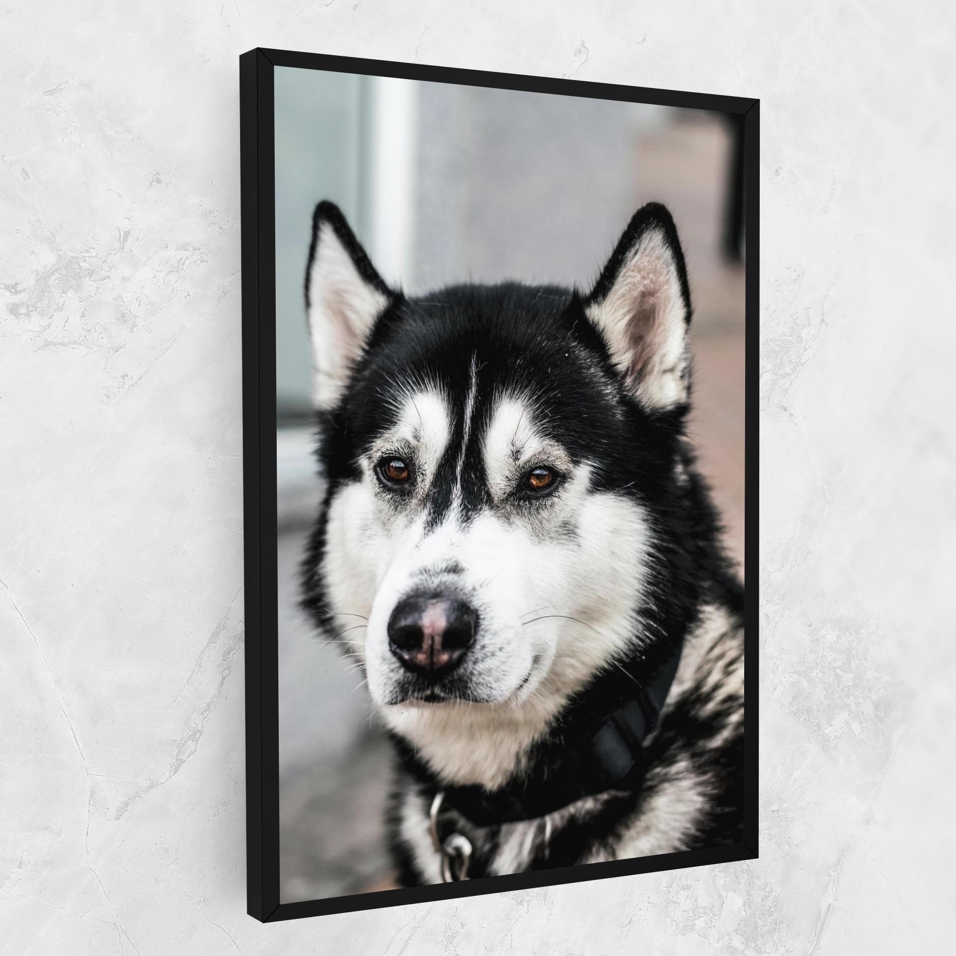 Husky Dog mockup 1