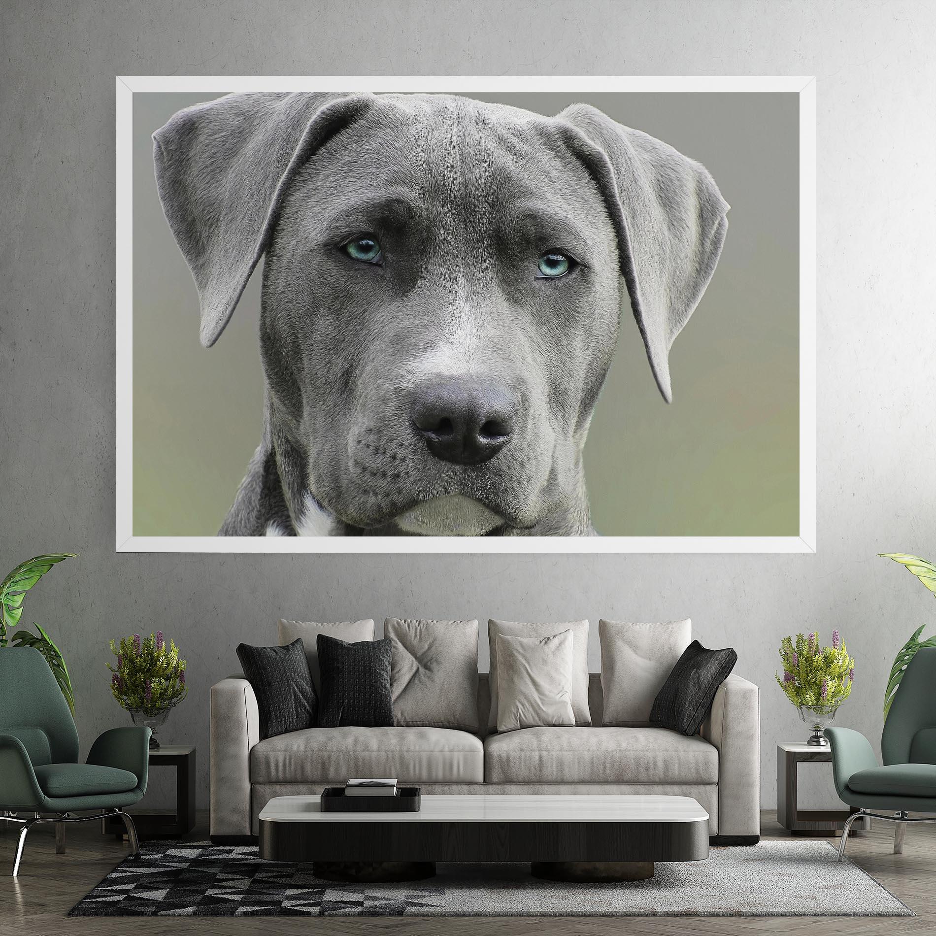 Leinwandbild Blue Eyes Dog mockup 7