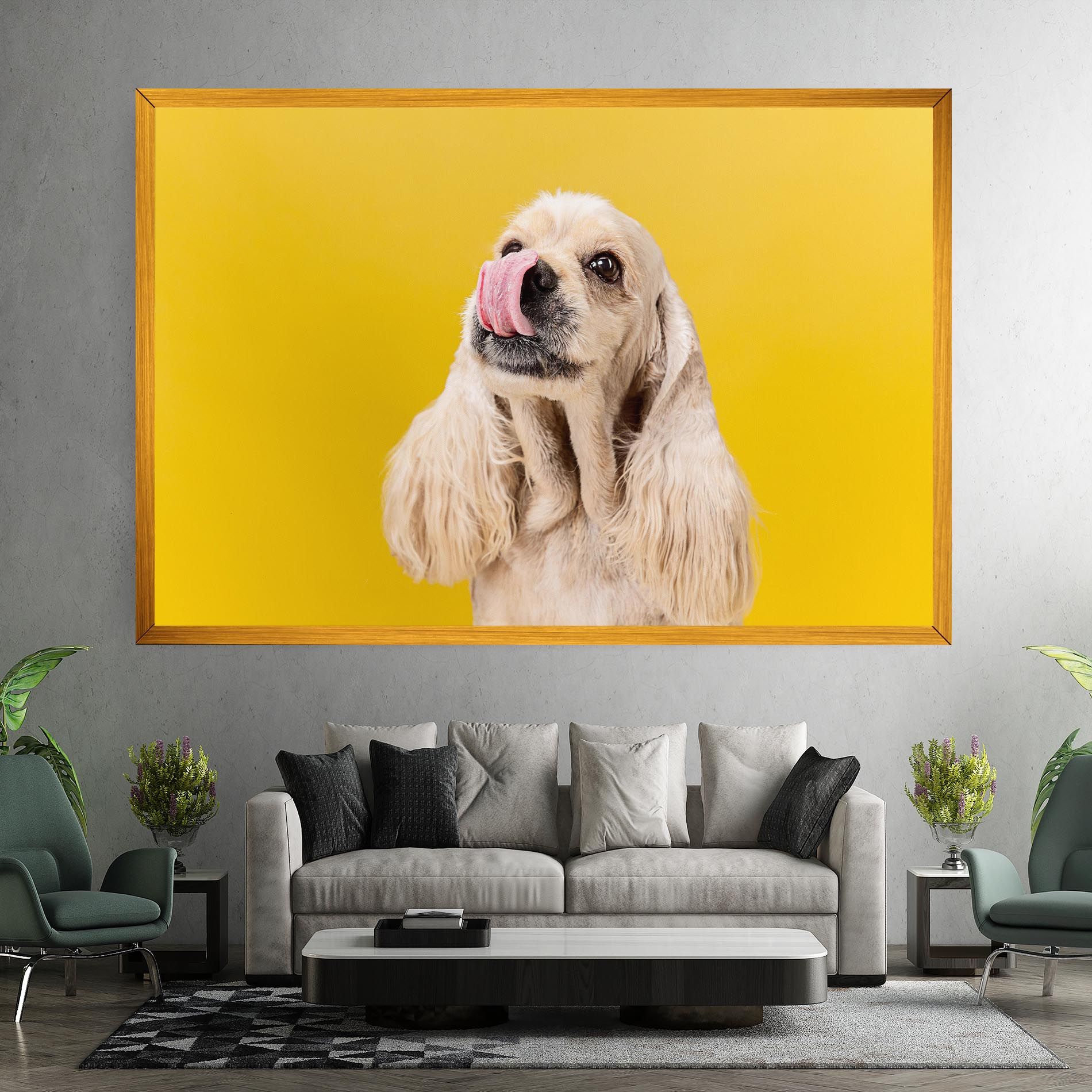 American Spaniel mockup 7