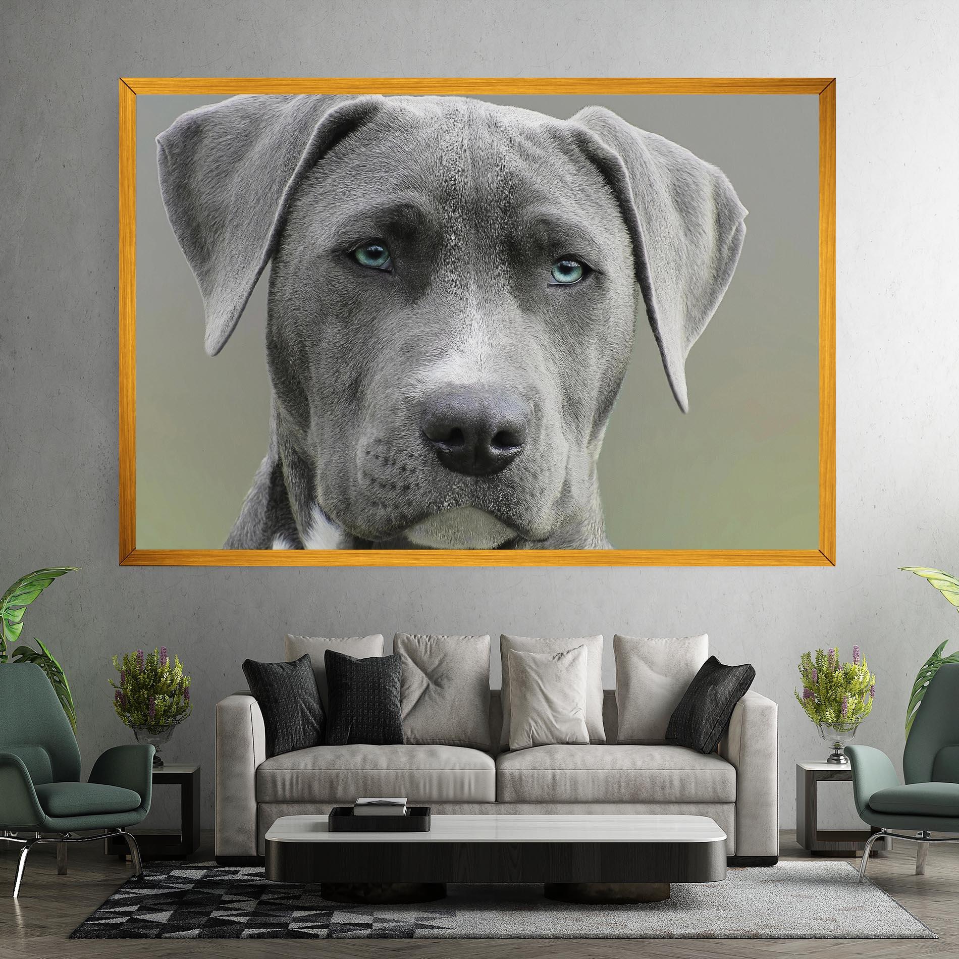 Leinwandbild Blue Eyes Dog mockup 7