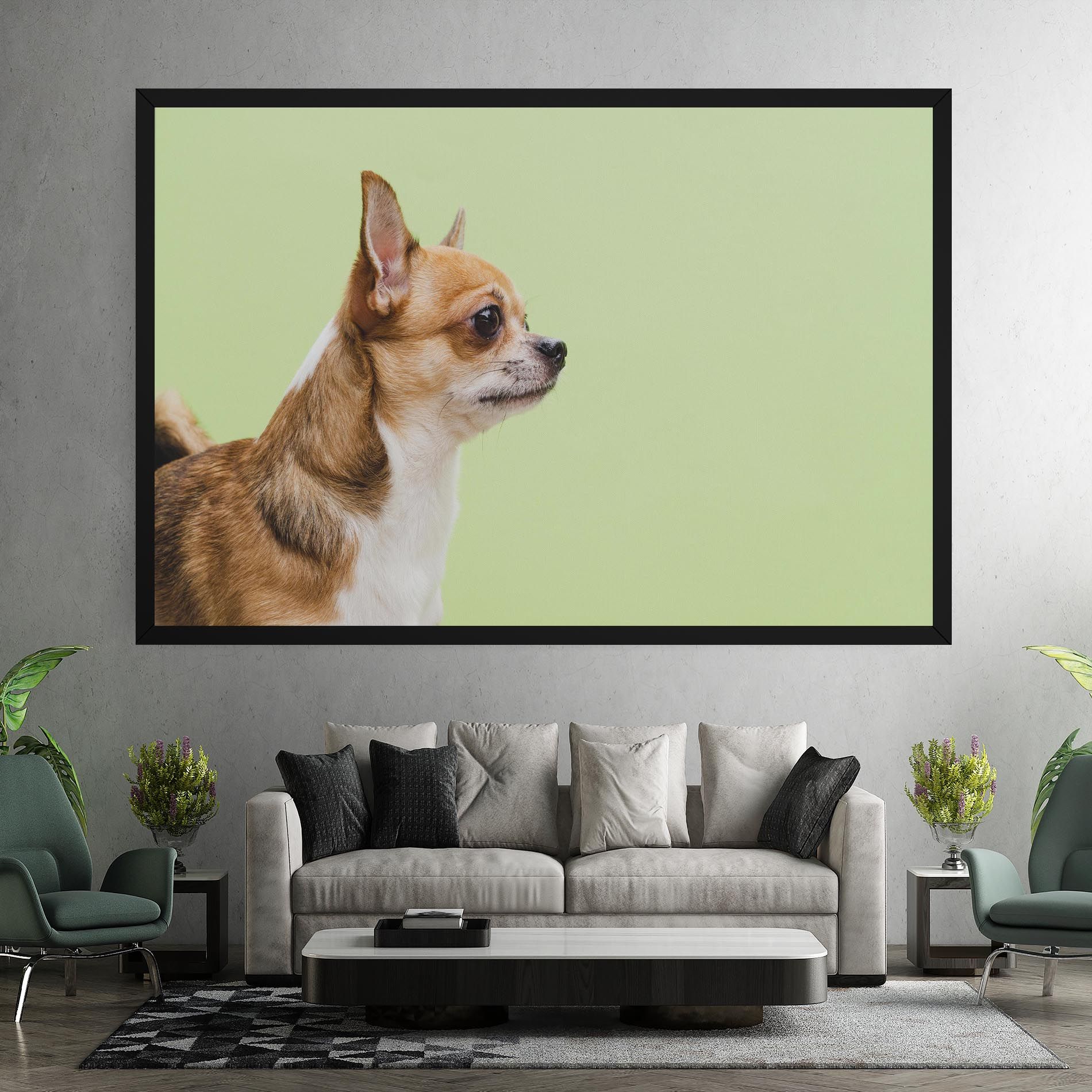 Chihuahua Dog mockup 7