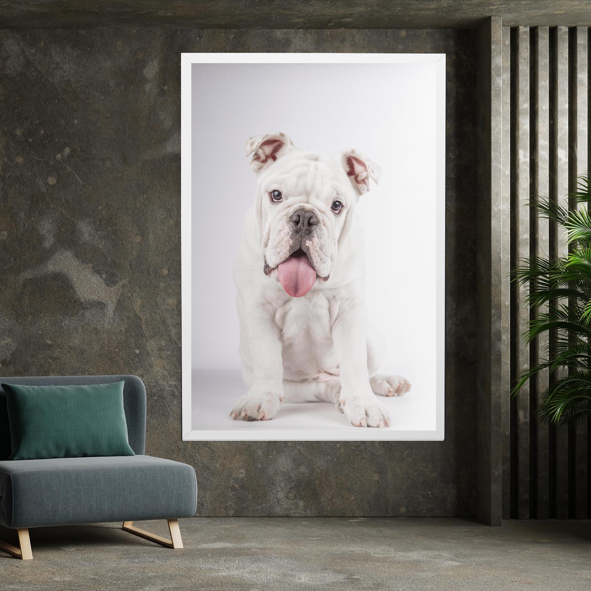 Leinwandbild English Bulldog mockup 7