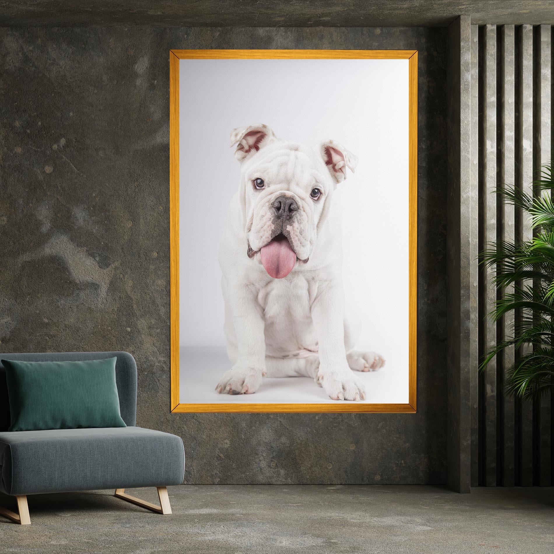 Leinwandbild English Bulldog mockup 7