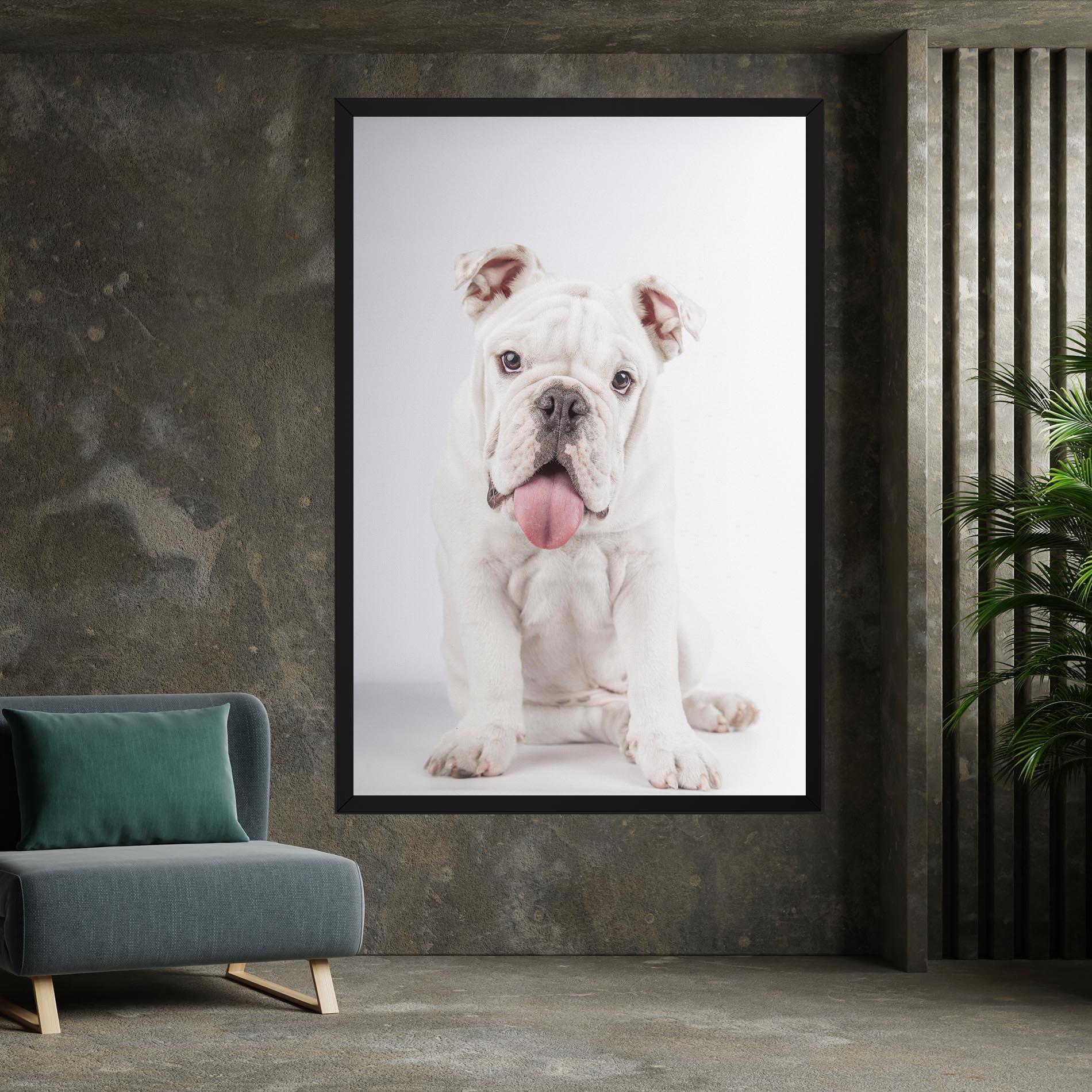 Leinwandbild English Bulldog mockup 7
