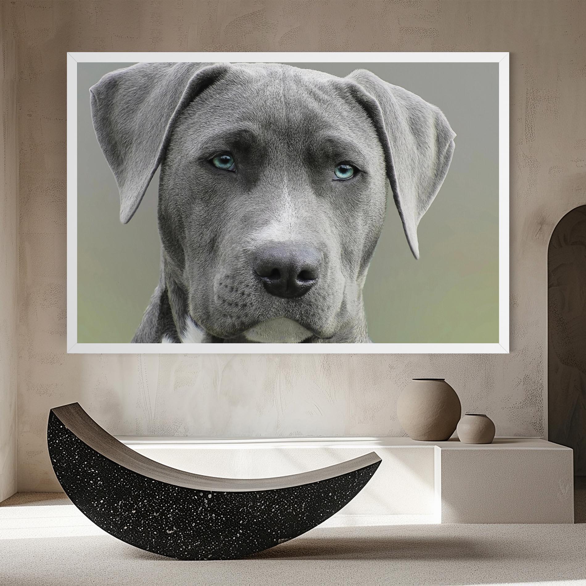 Leinwandbild Blue Eyes Dog mockup 8