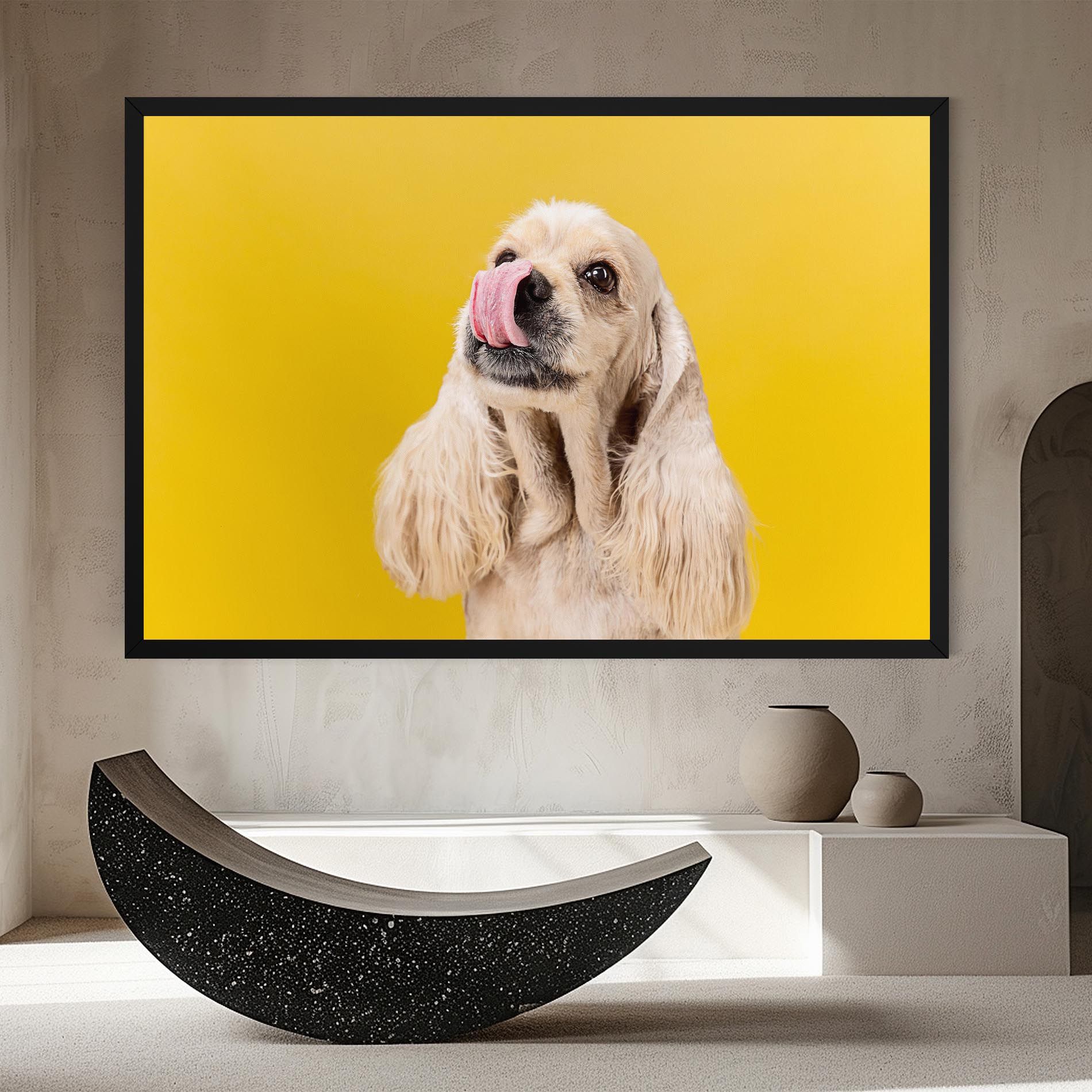 American Spaniel mockup 8