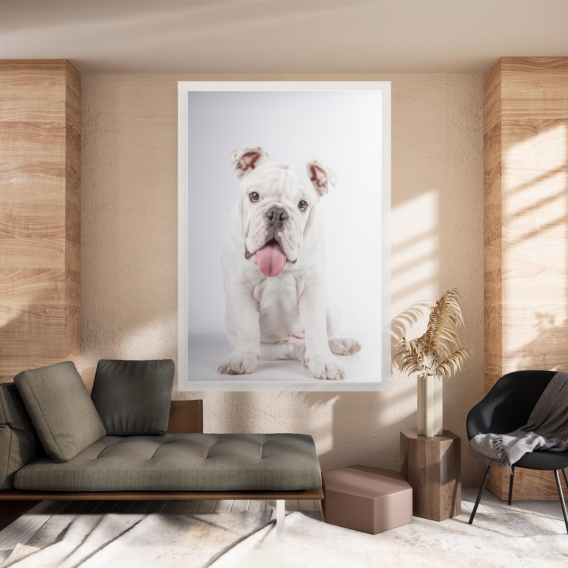 Leinwandbild English Bulldog mockup 8