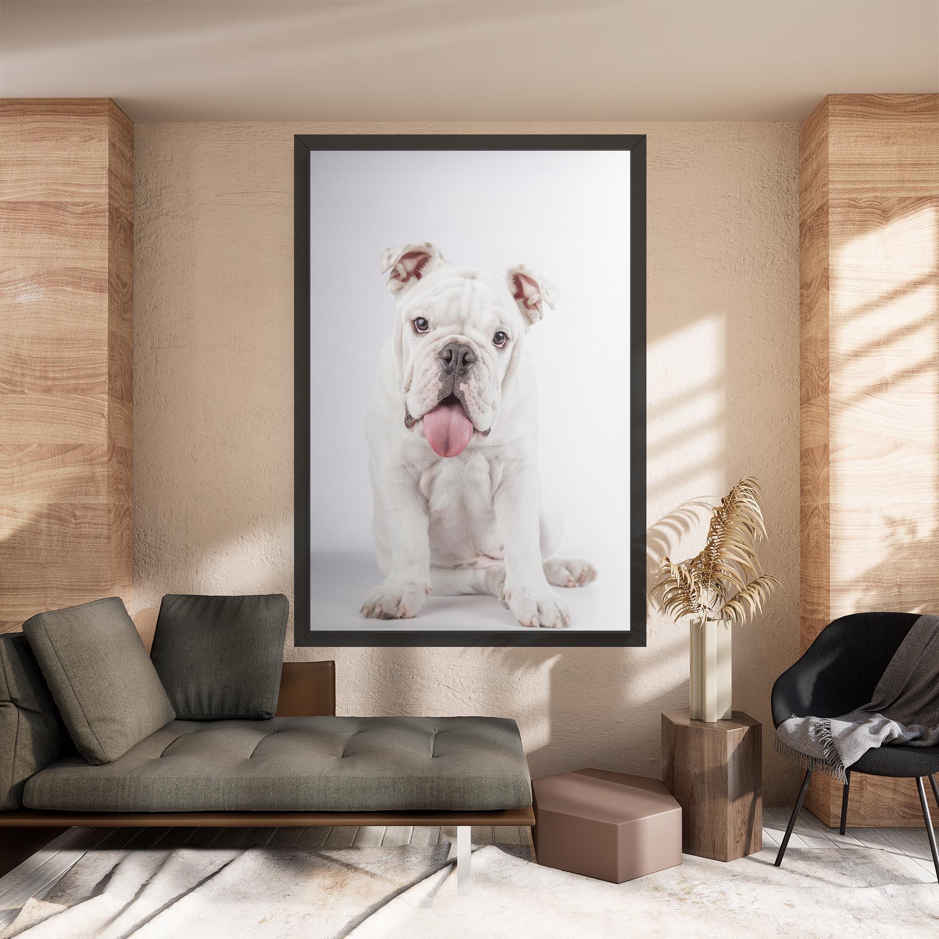 Leinwandbild English Bulldog mockup 8