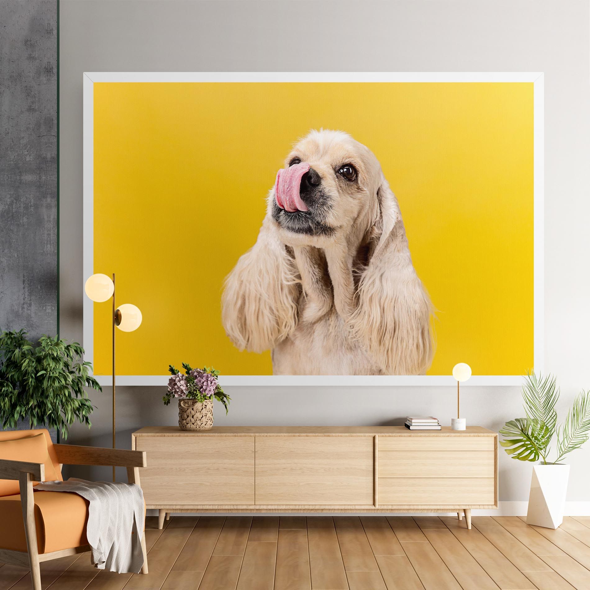 American Spaniel mockup 9