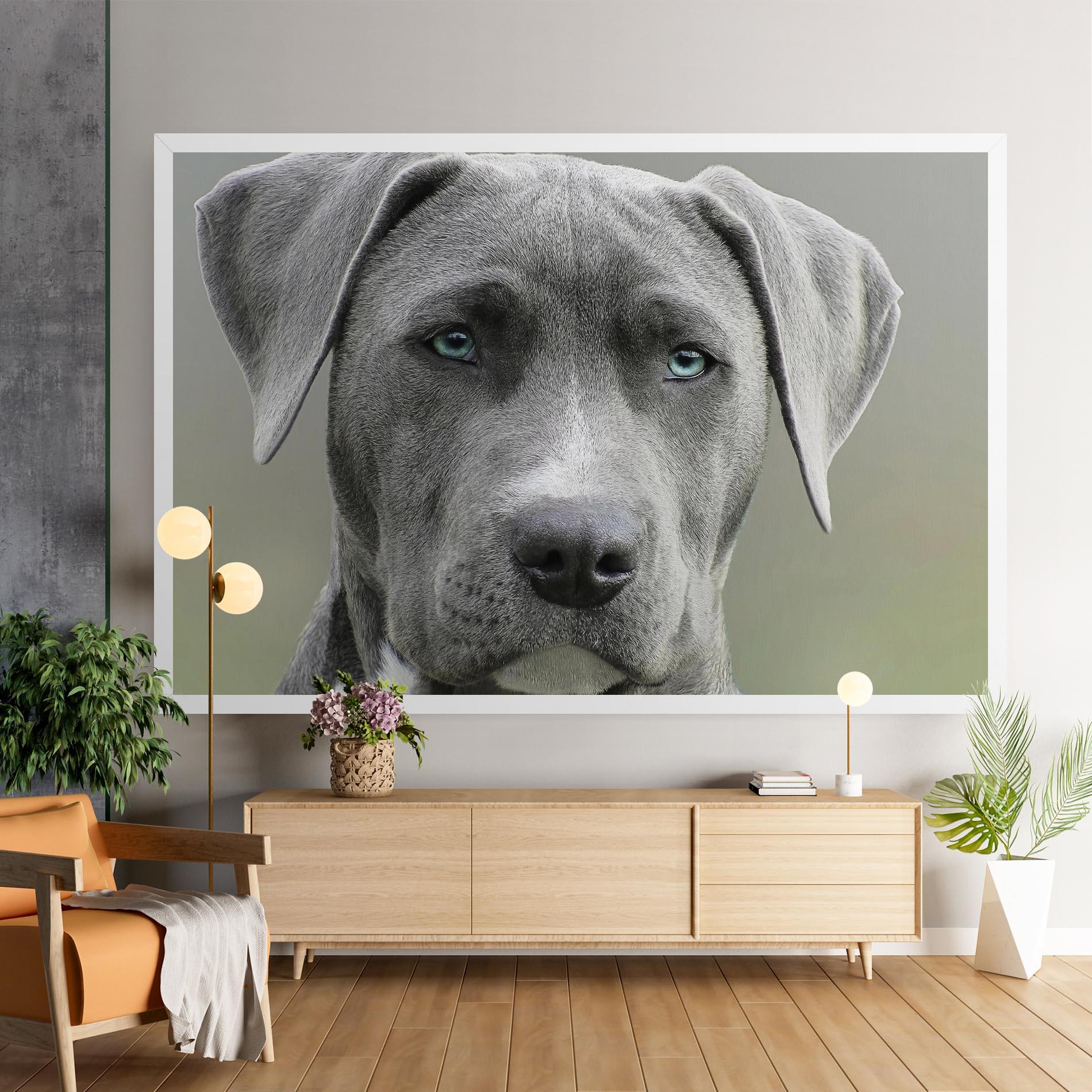 Leinwandbild Blue Eyes Dog mockup 9