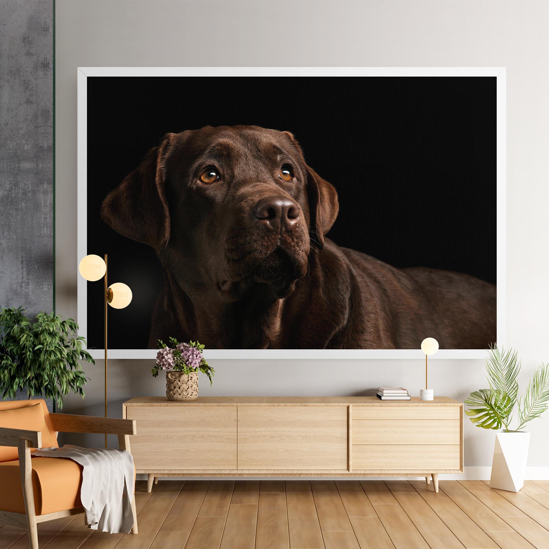 Leinwandbild Brown Labrador mockup 9