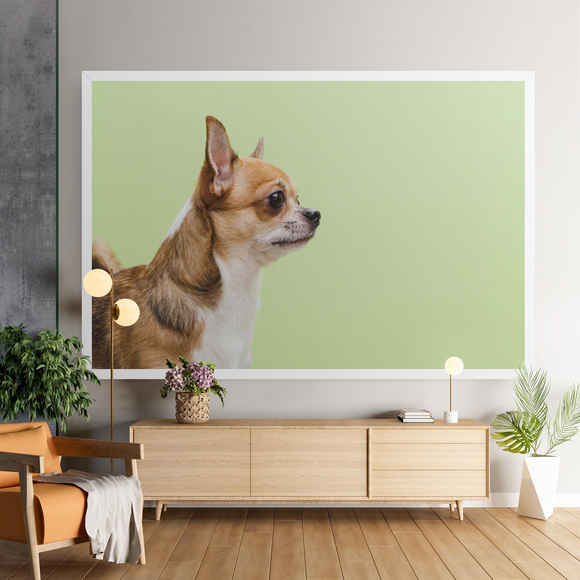 Leinwandbild Chihuahua Dog mockup 9