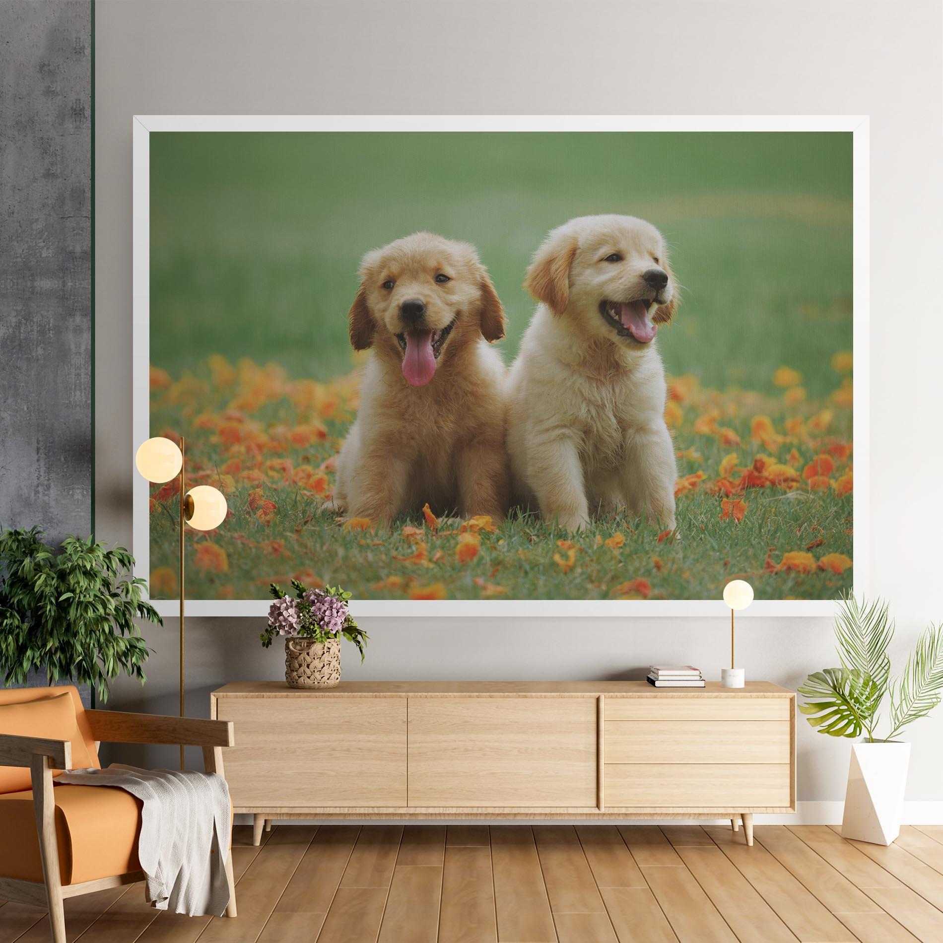 Leinwandbild Happy Dogs mockup 9