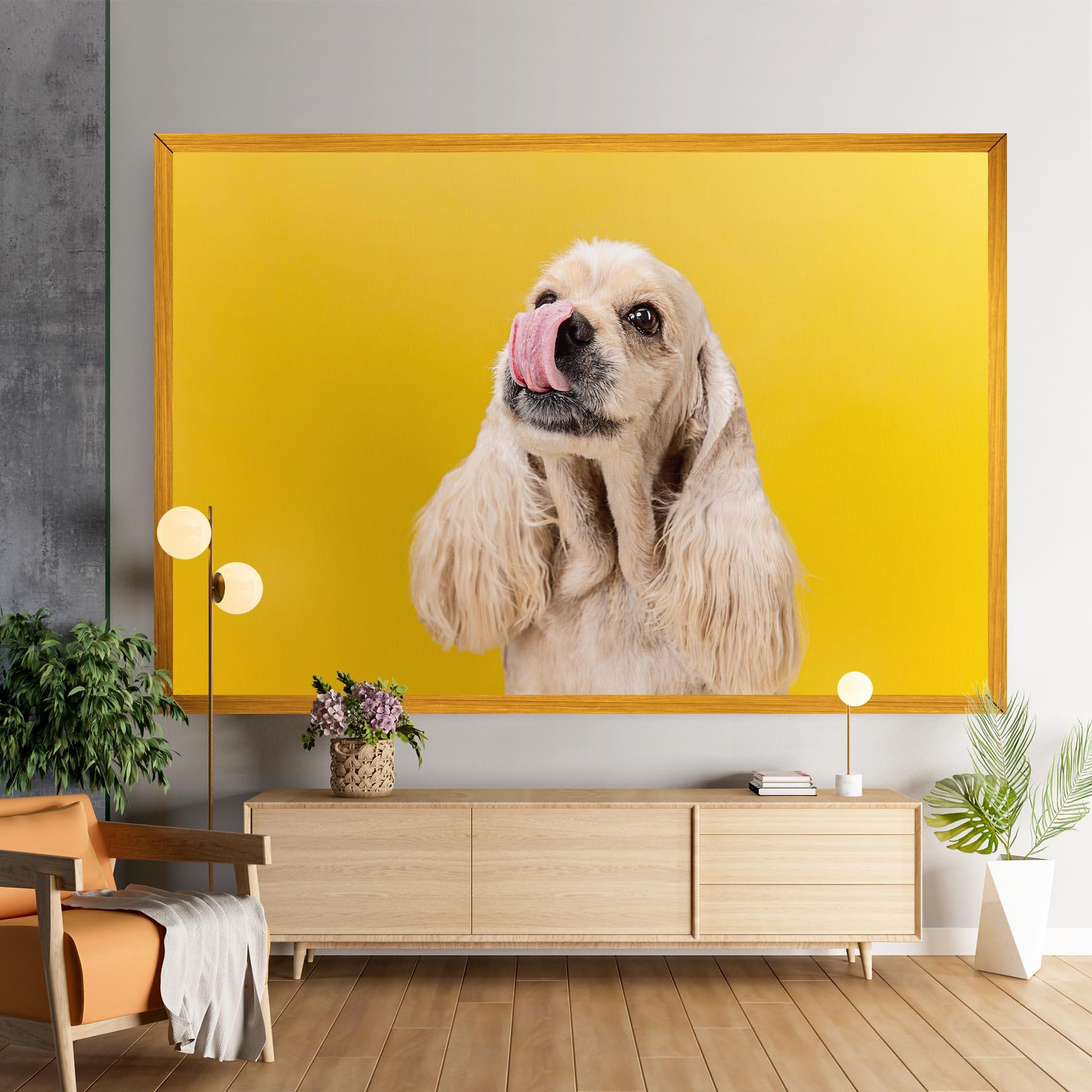 Leinwandbild American Spaniel mockup 9