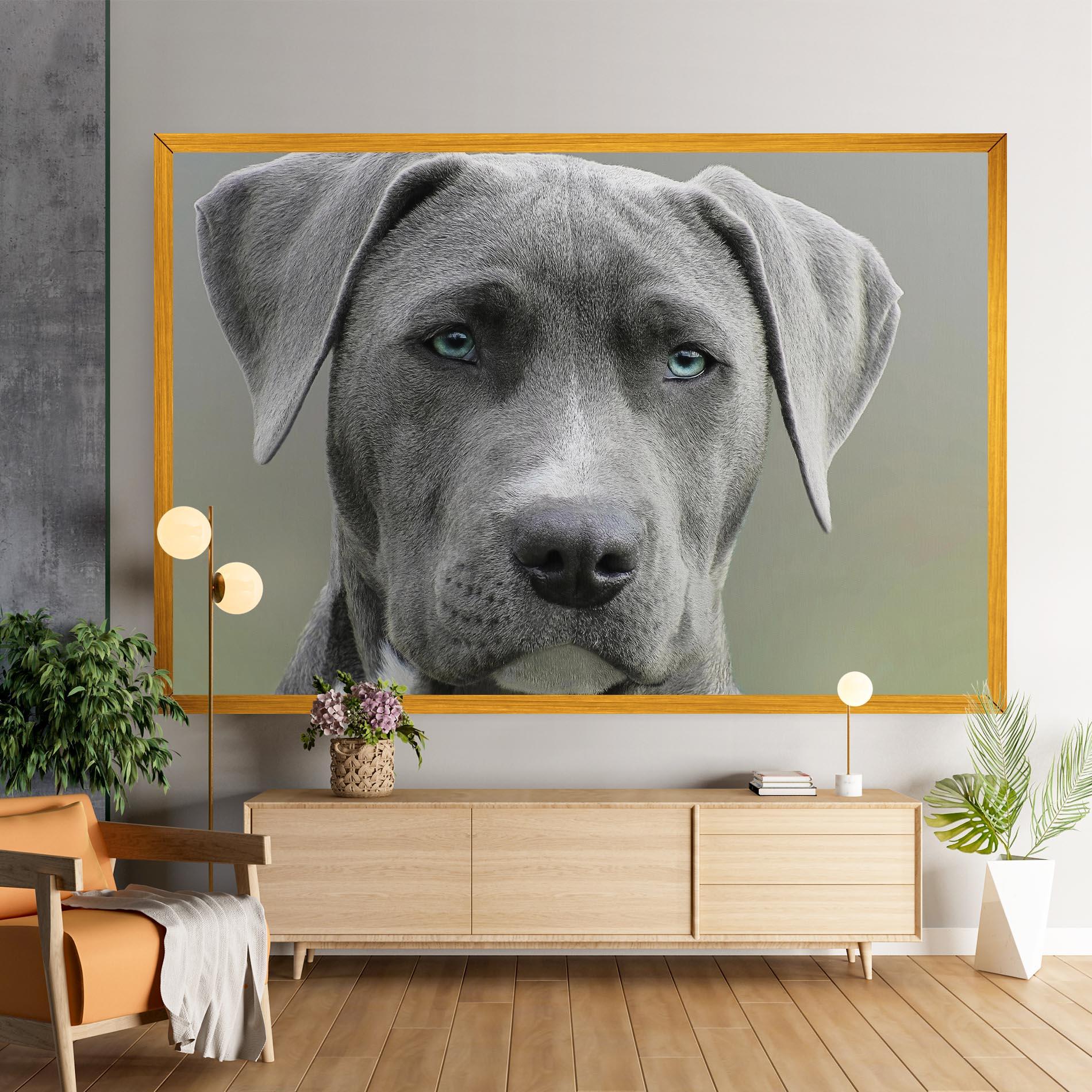 Leinwandbild Blue Eyes Dog mockup 9