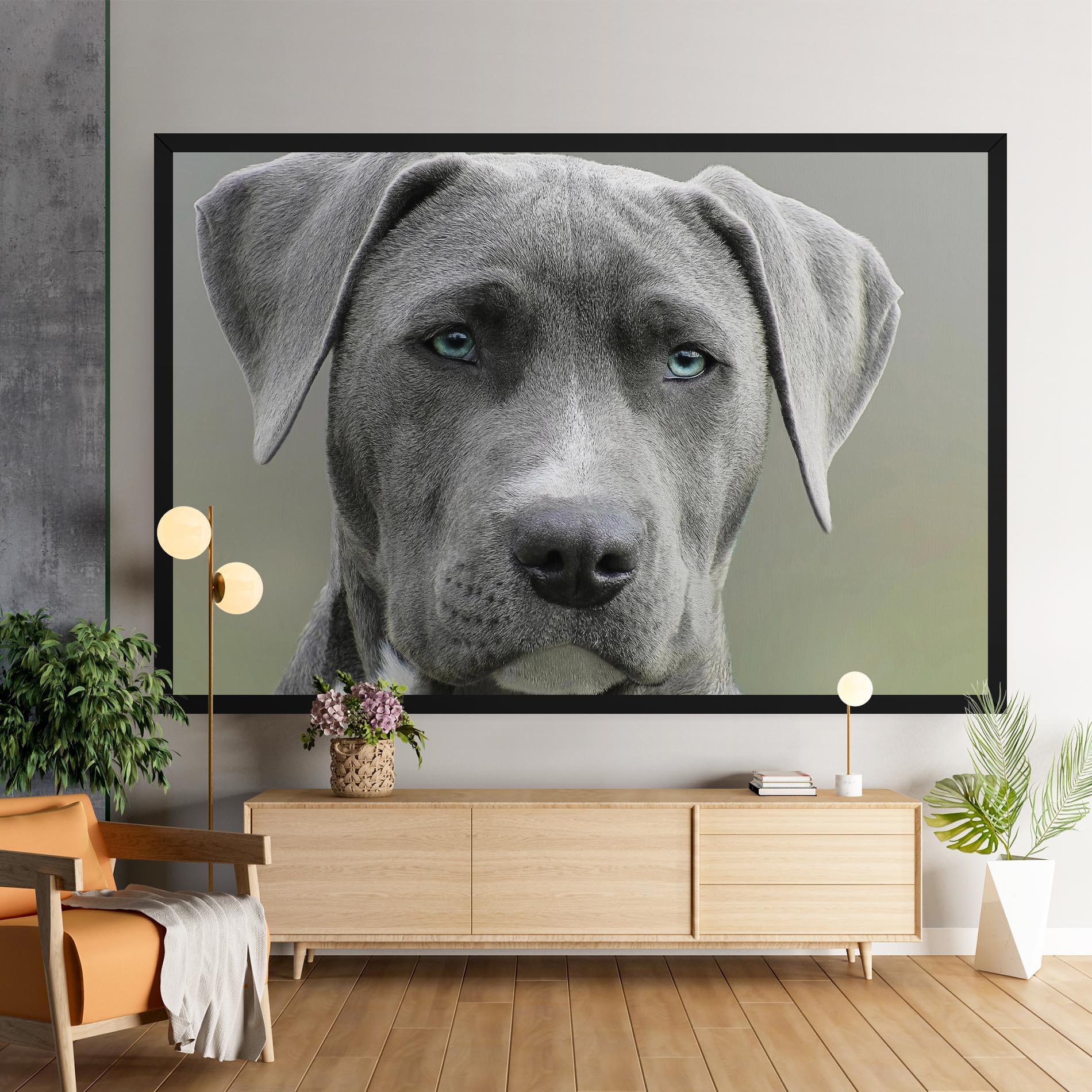 Leinwandbild Blue Eyes Dog mockup 9
