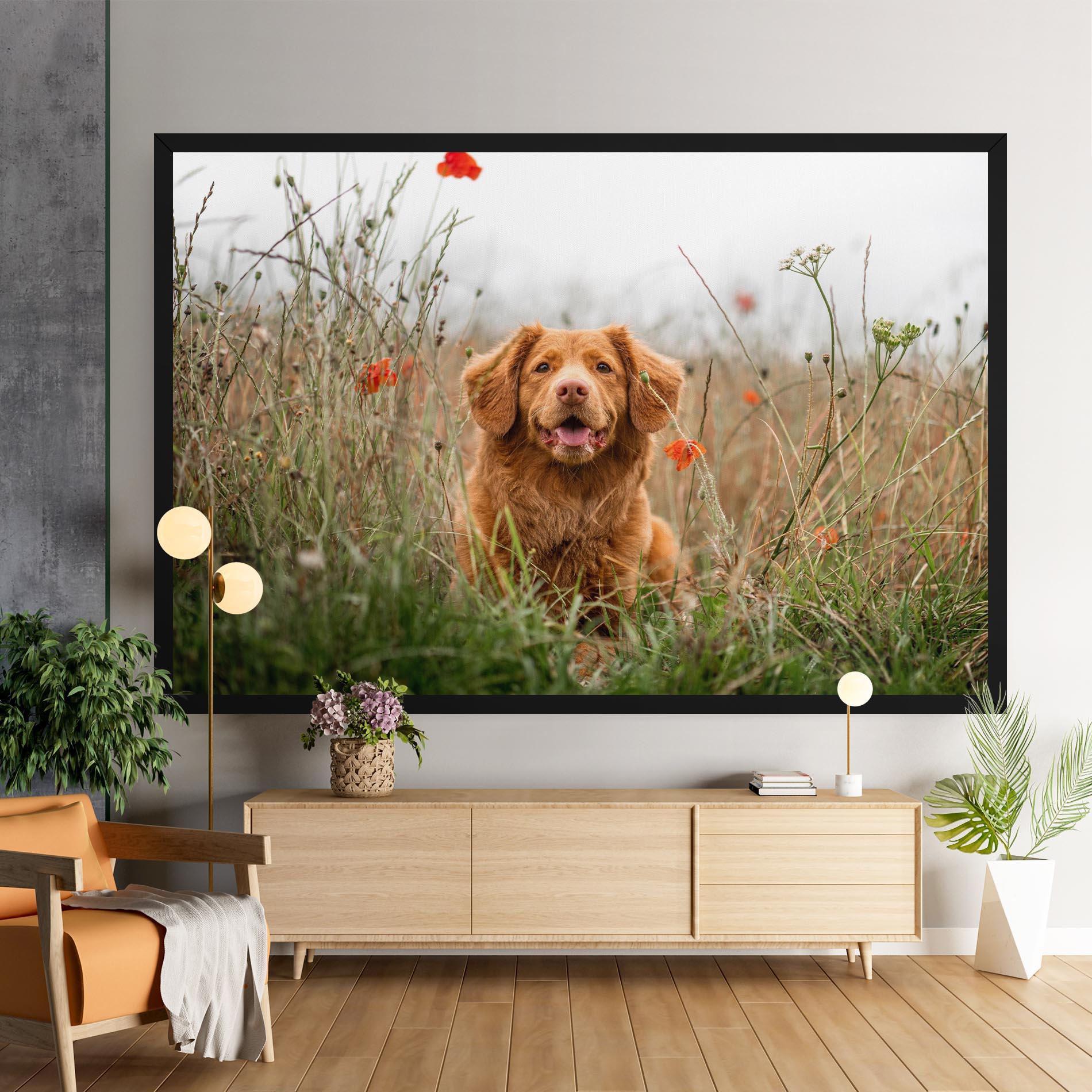 Leinwandbild Red Flowers Dog mockup 9
