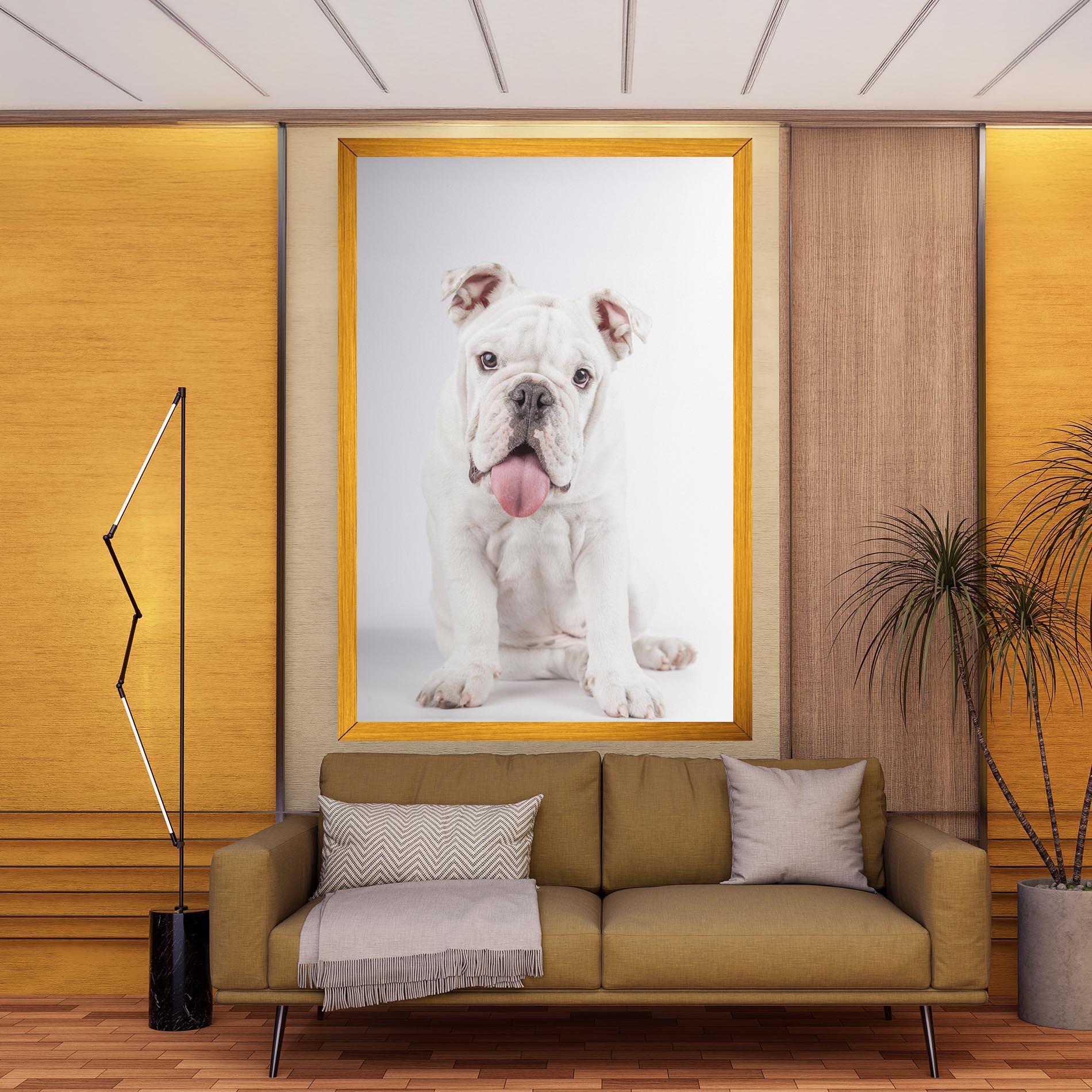 Leinwandbild English Bulldog mockup 9