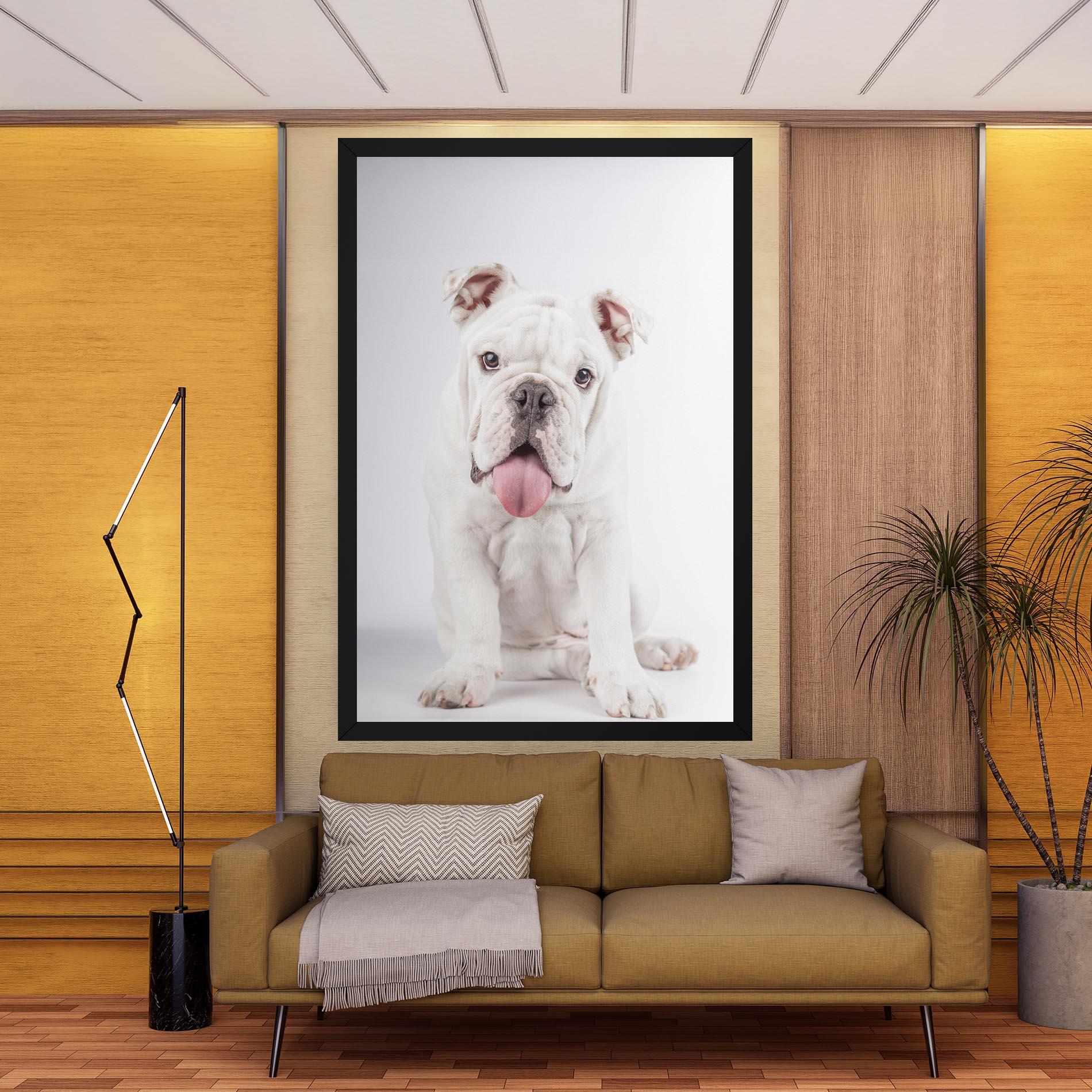 Leinwandbild English Bulldog mockup 9