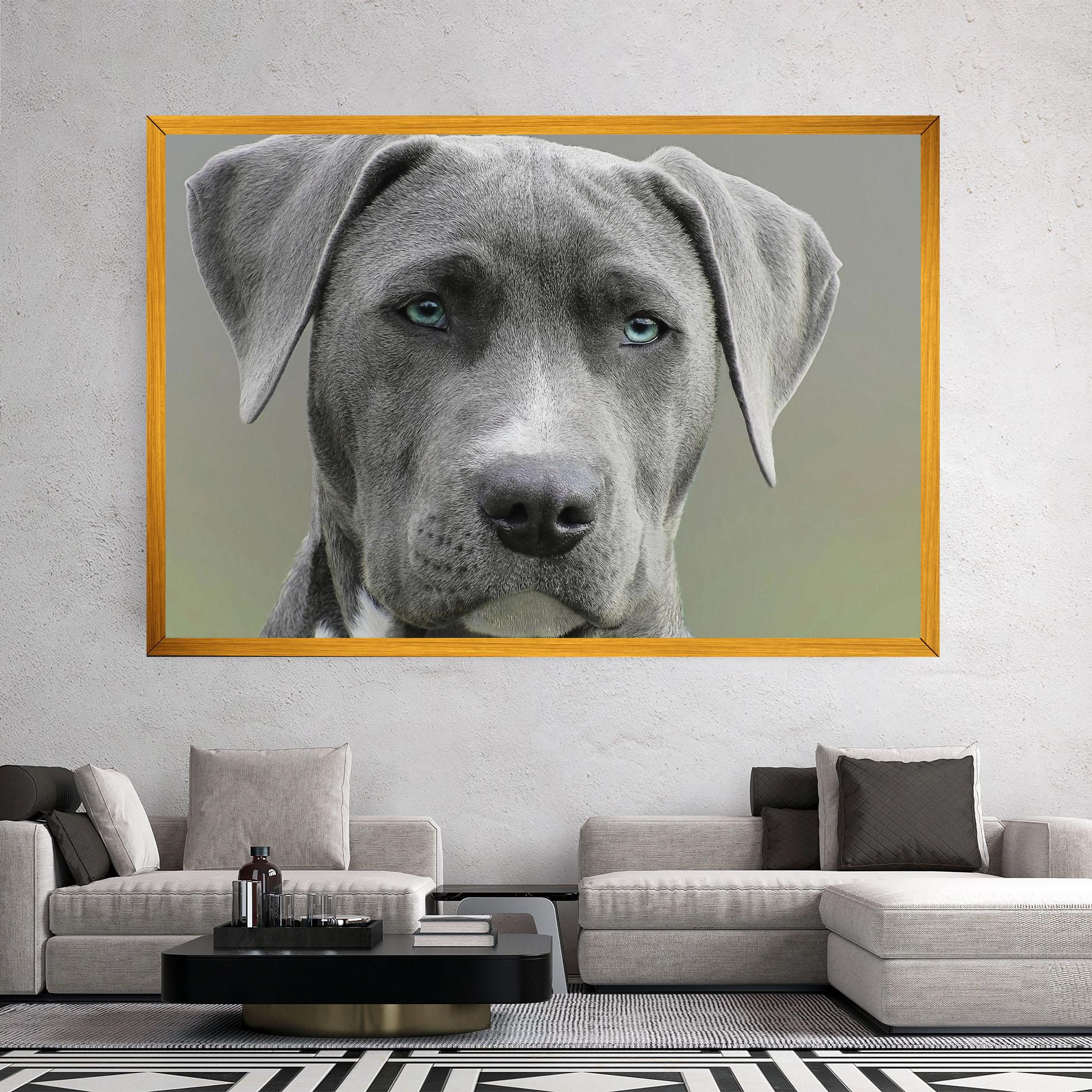 Leinwandbild Blue Eyes Dog mockup 2