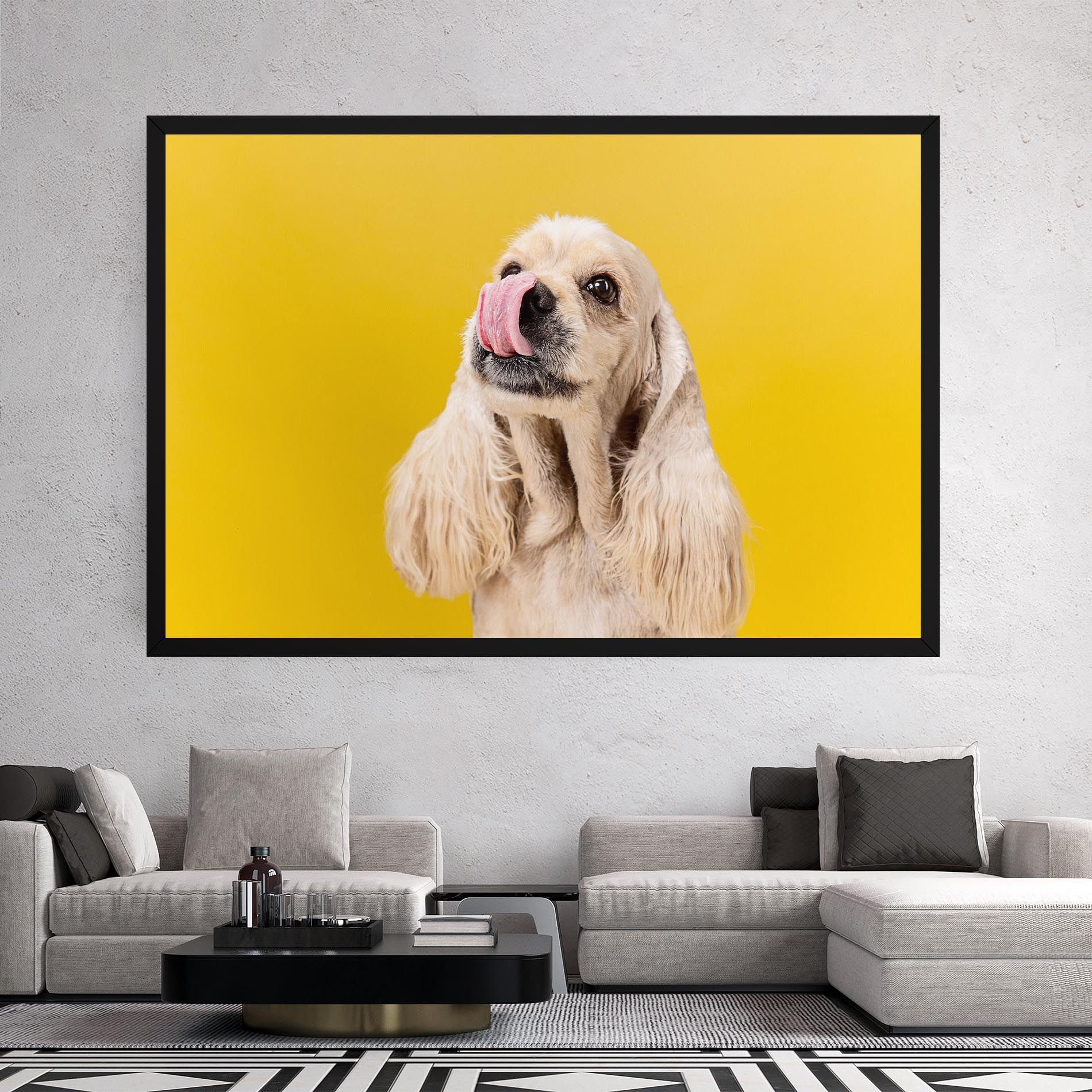 American Spaniel mockup 2