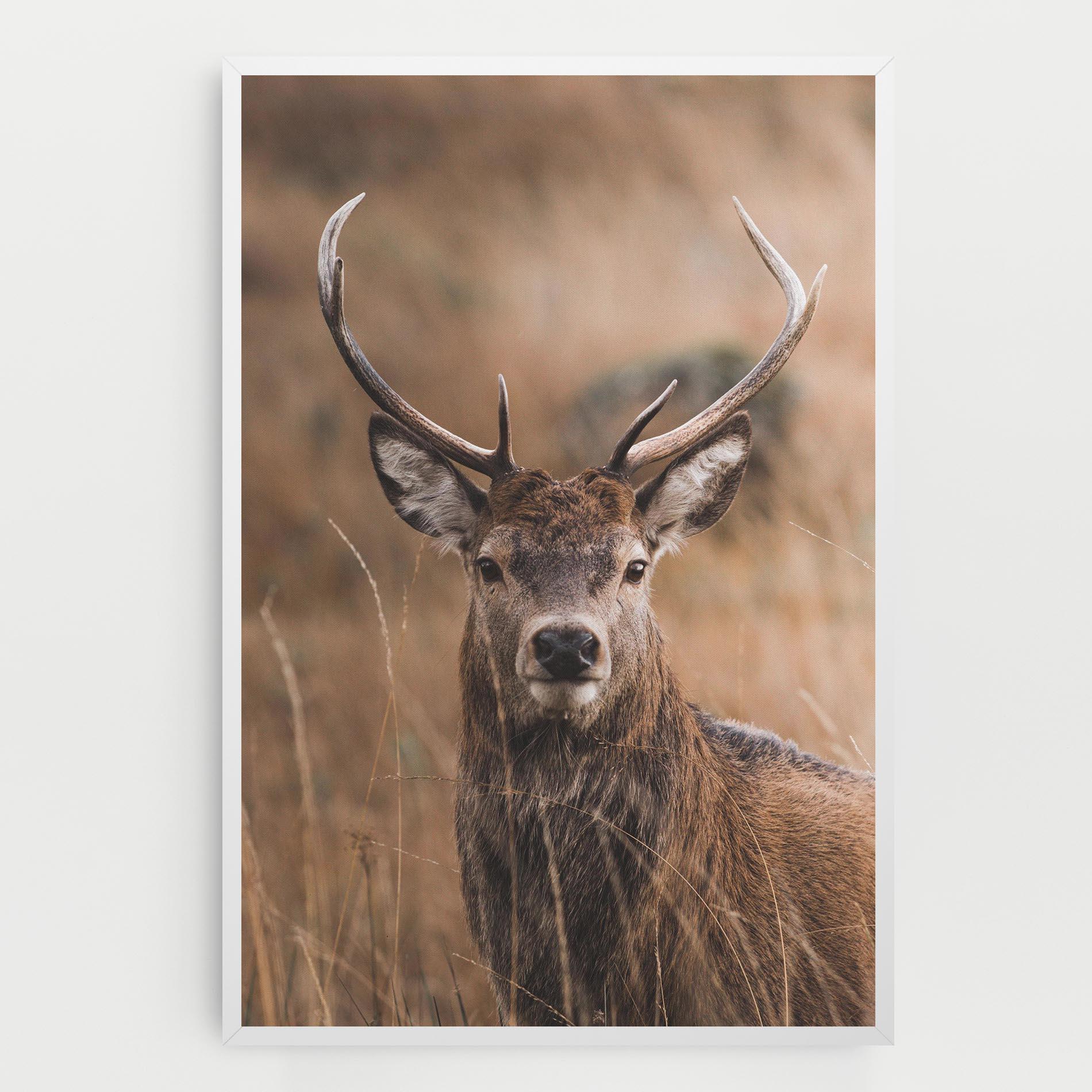 Leinwandbild Majestic Deer mockup 0