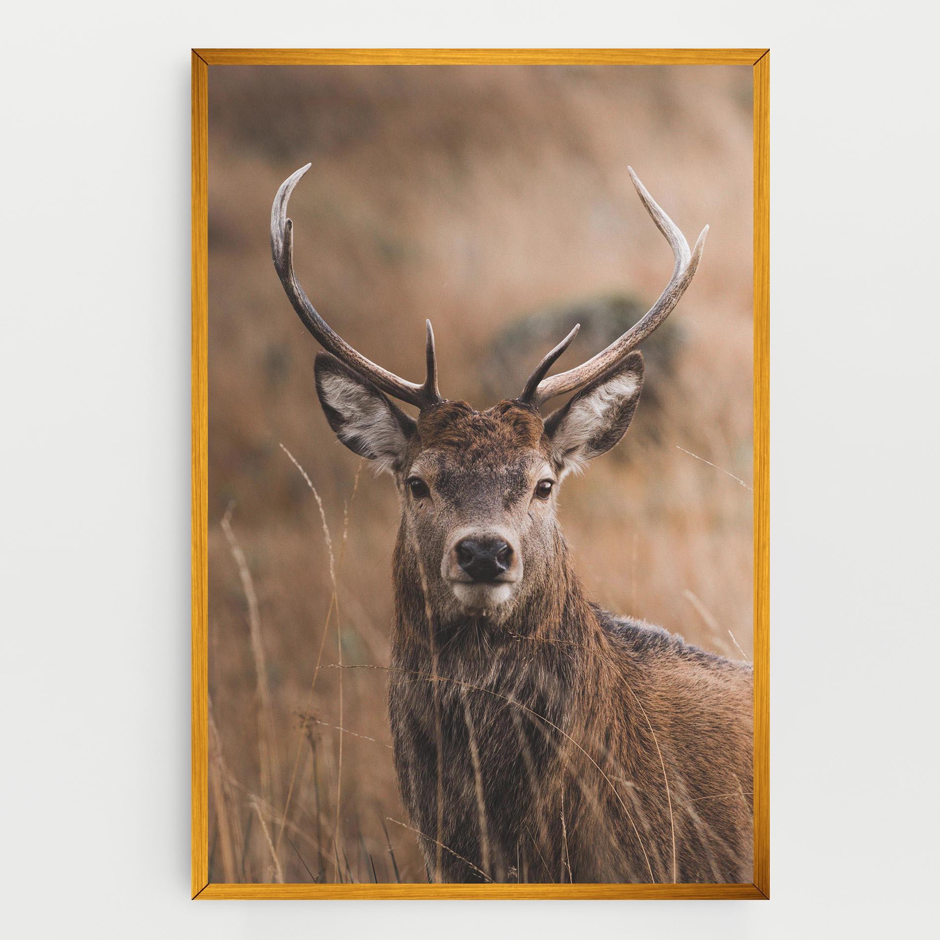 Leinwandbild Majestic Deer mockup 0