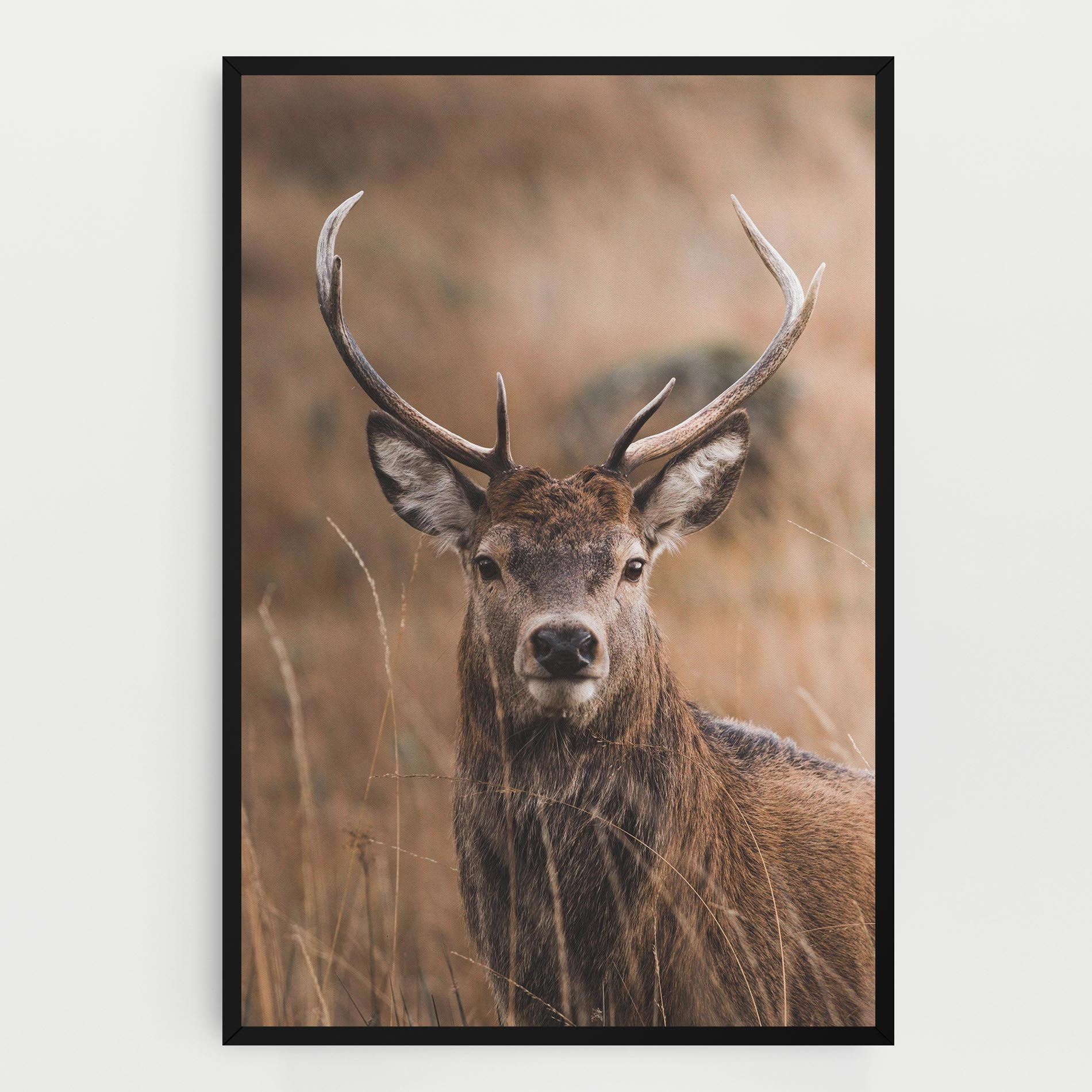 Majestic Deer mockup 0