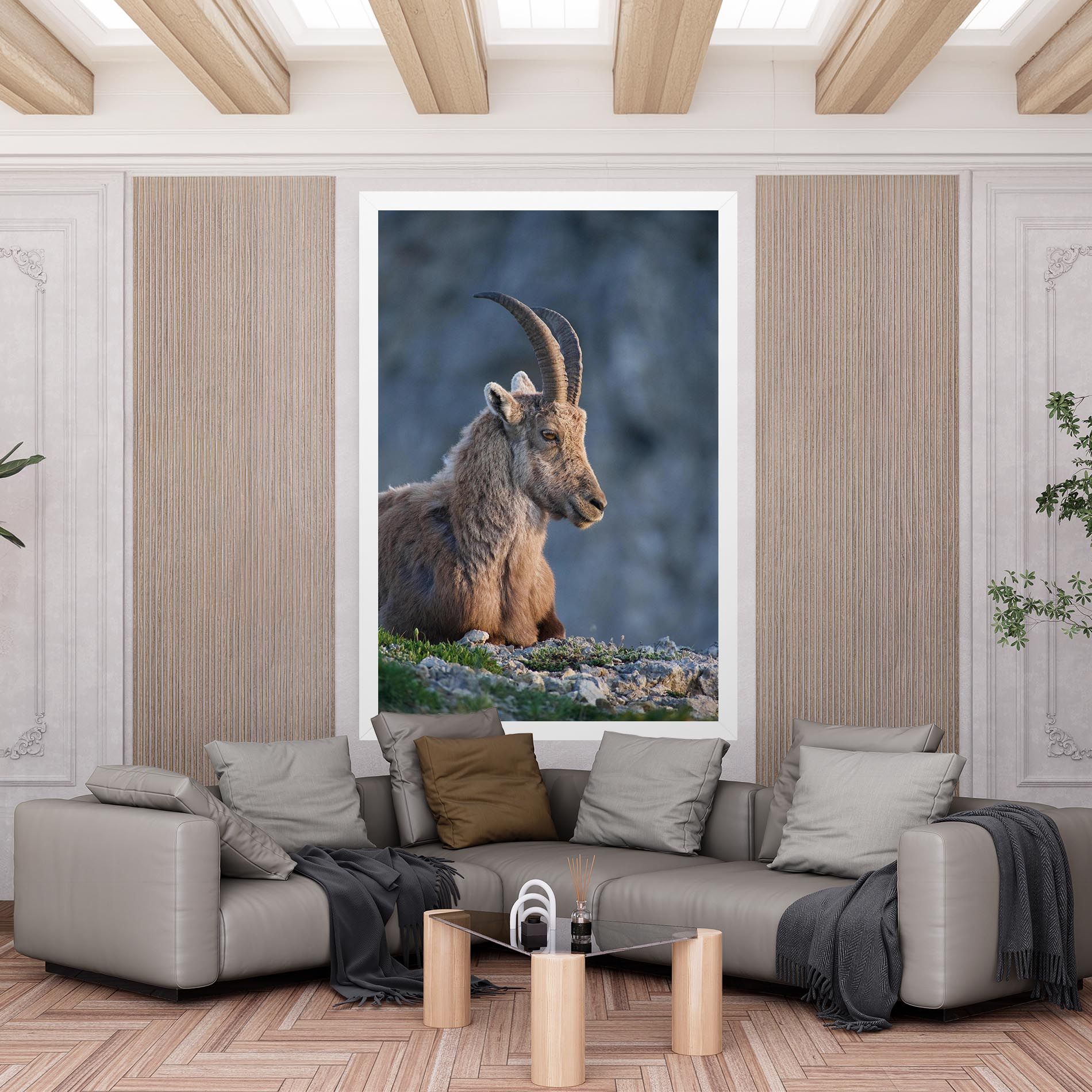 Mountain Goat mockup 6