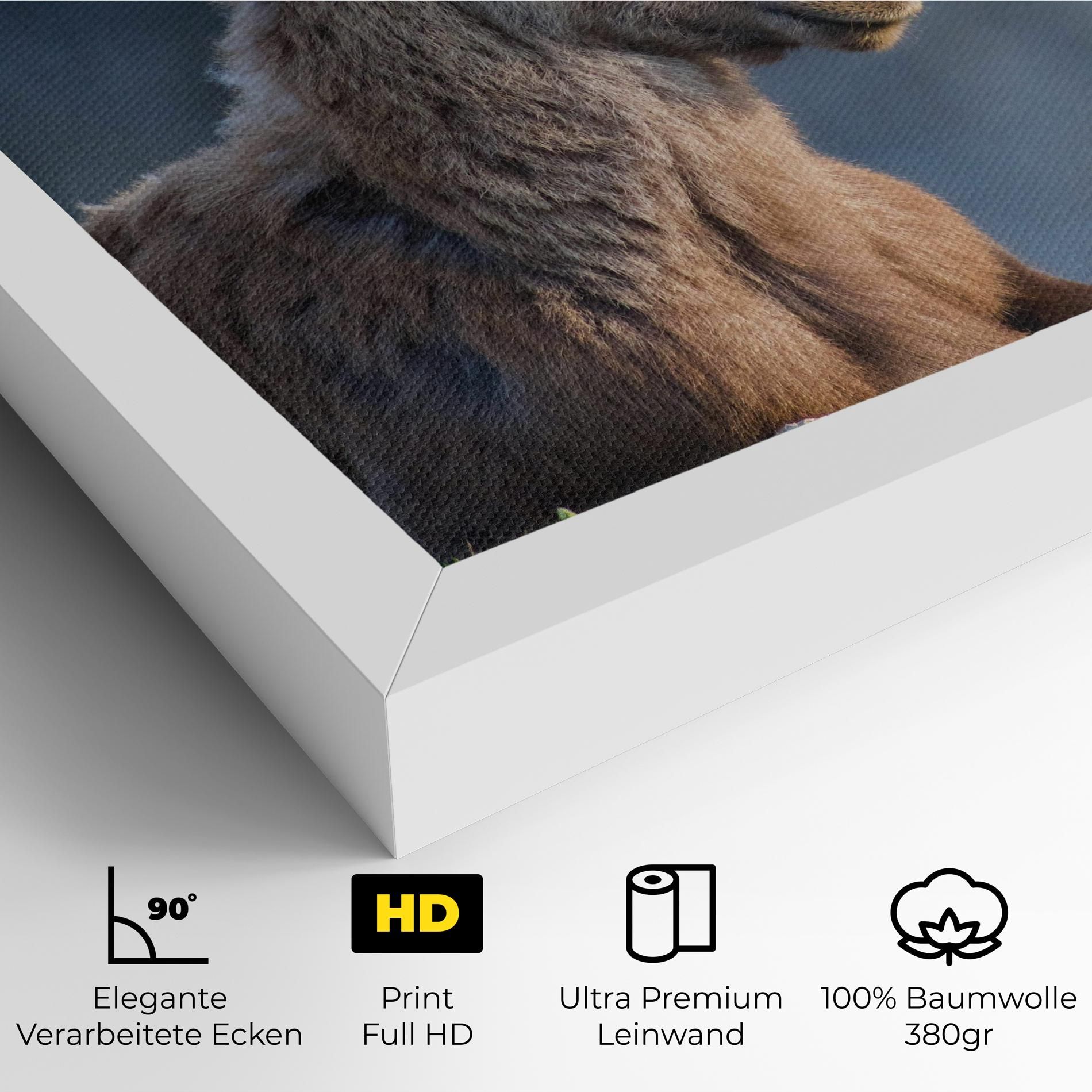 Mountain Goat mockup 4