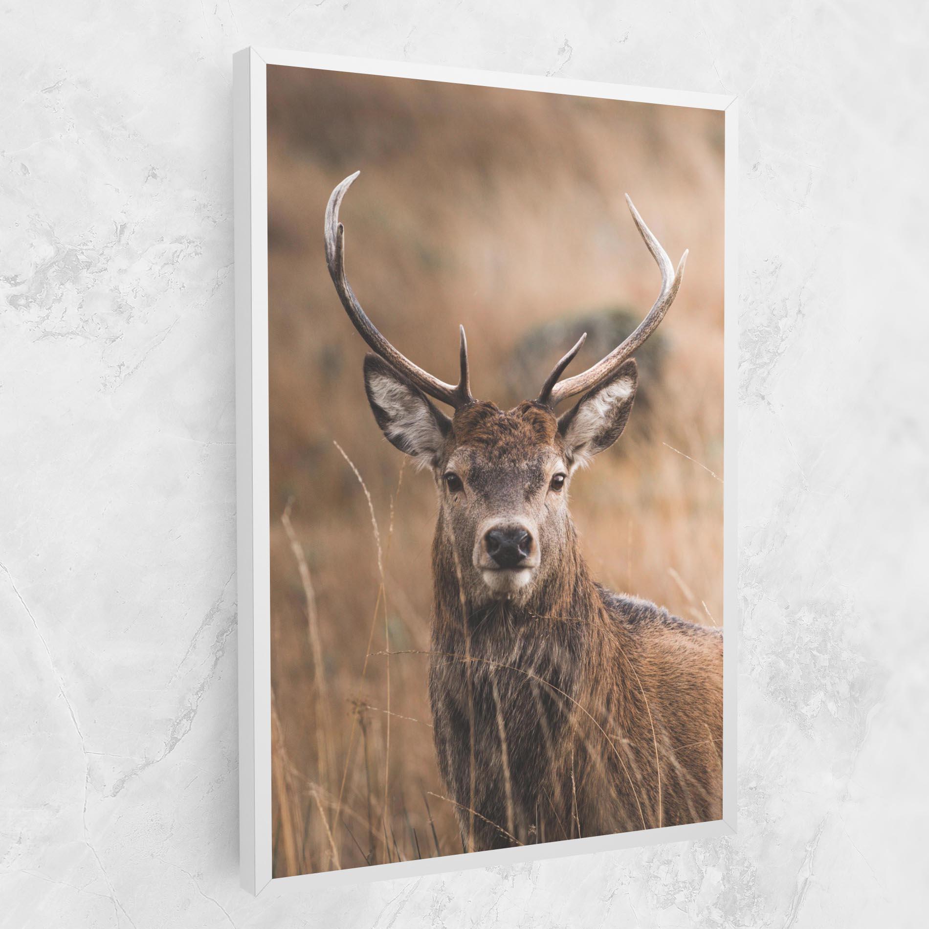 Leinwandbild Majestic Deer mockup 1