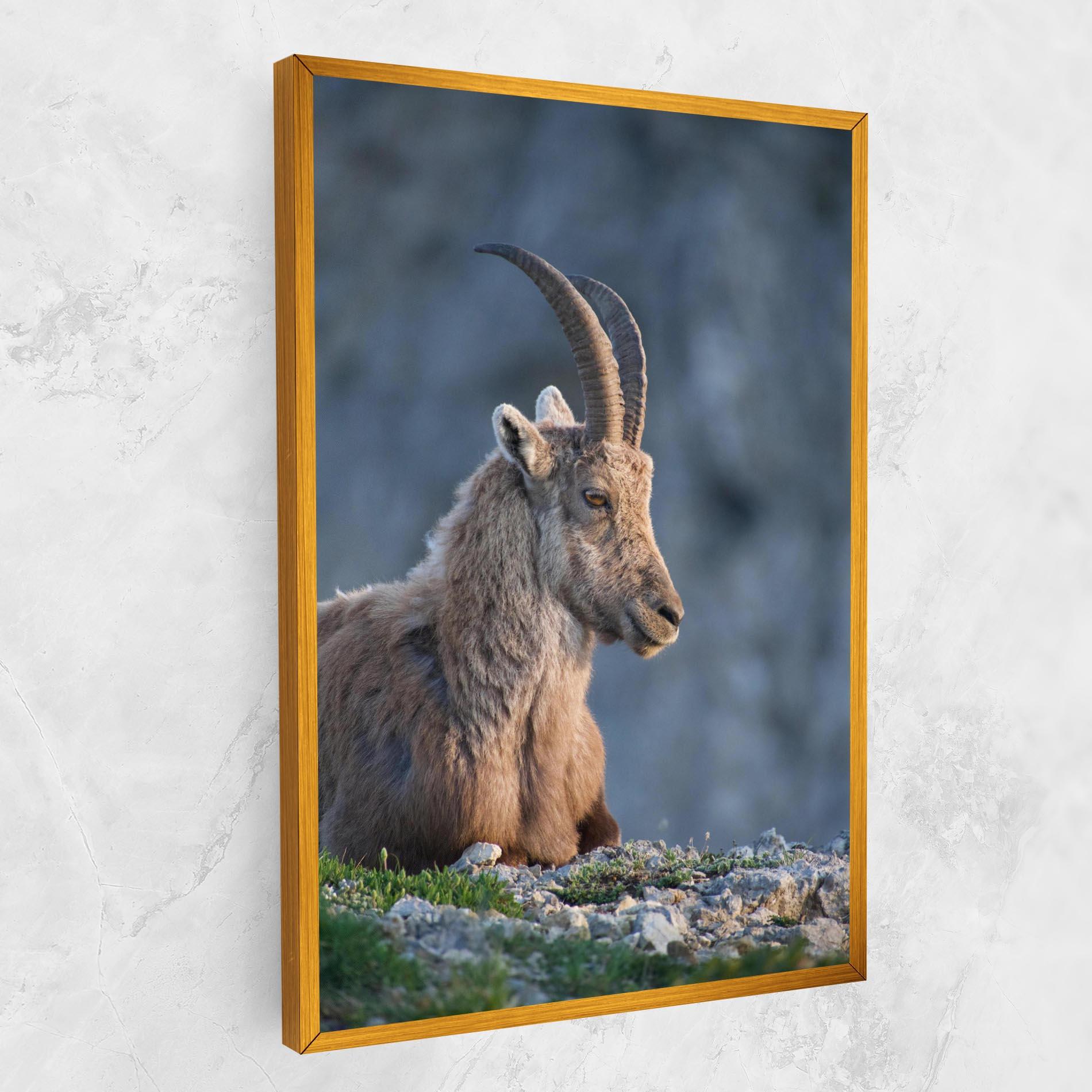 Leinwandbild Mountain Goat mockup 1