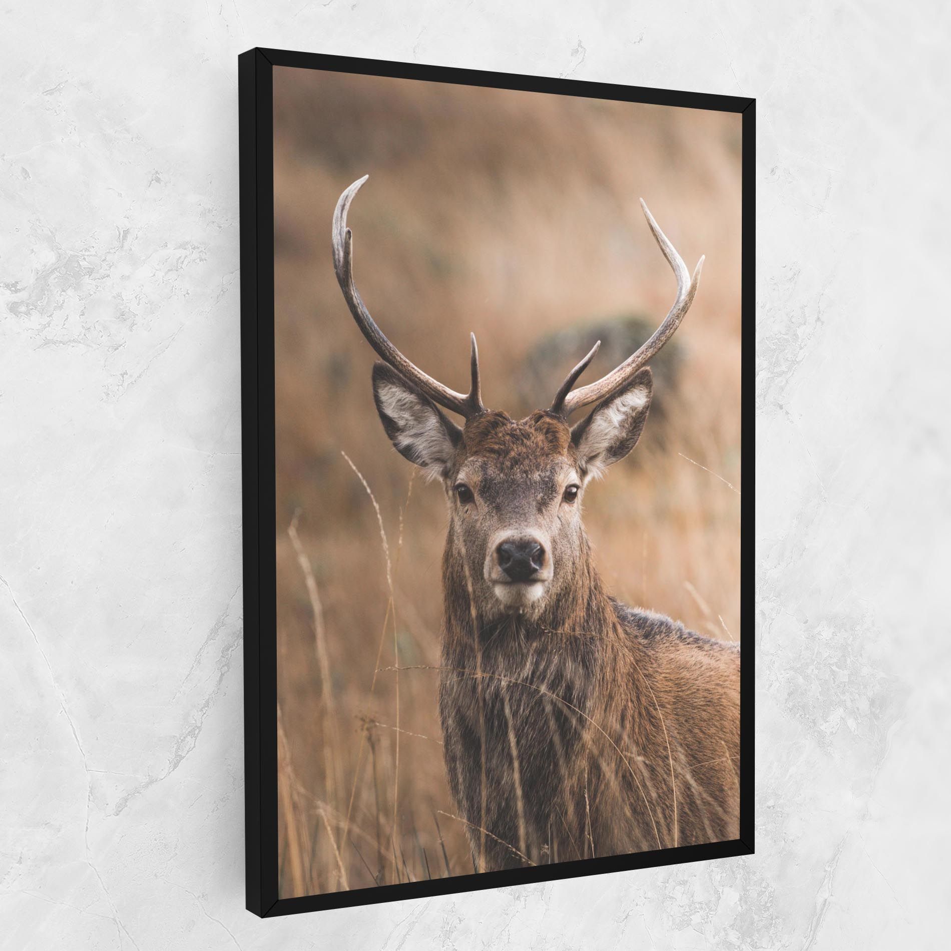Majestic Deer mockup 1