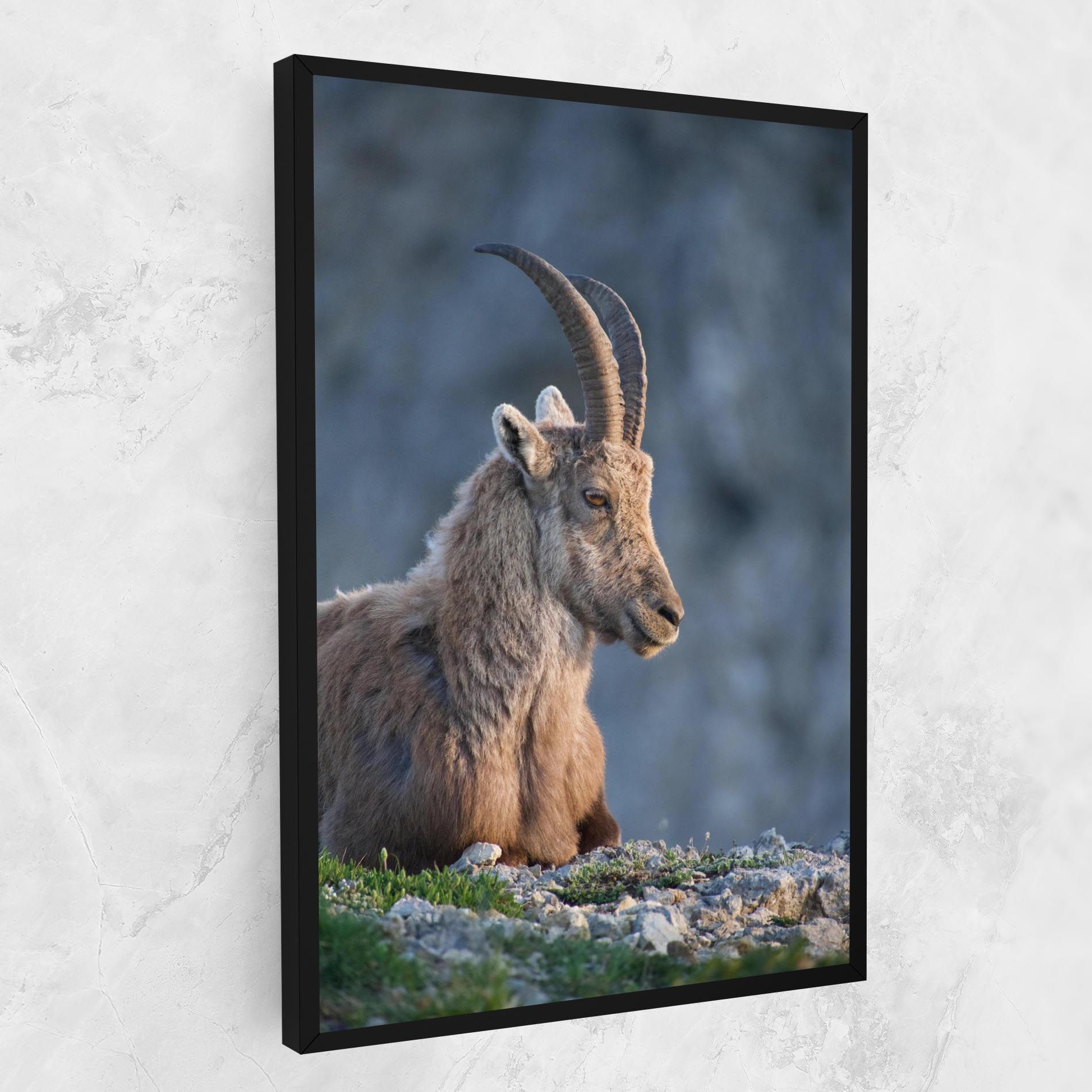 Mountain Goat mockup 1