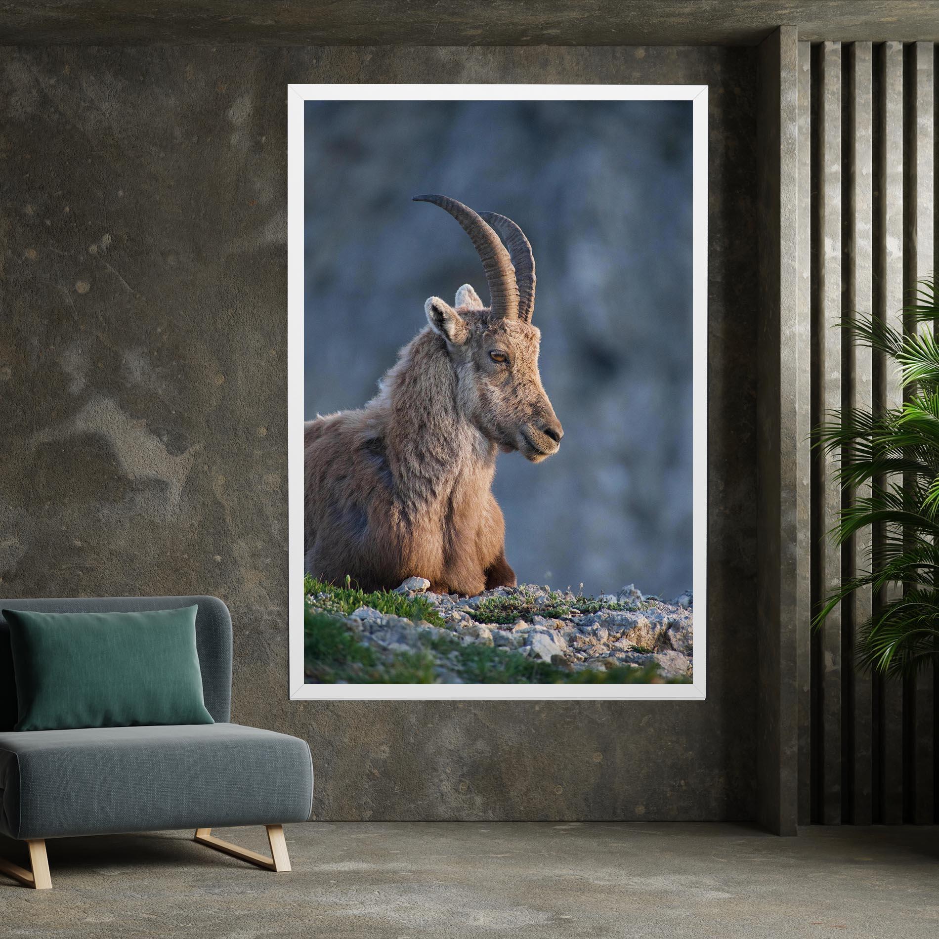 Leinwandbild Mountain Goat mockup 7