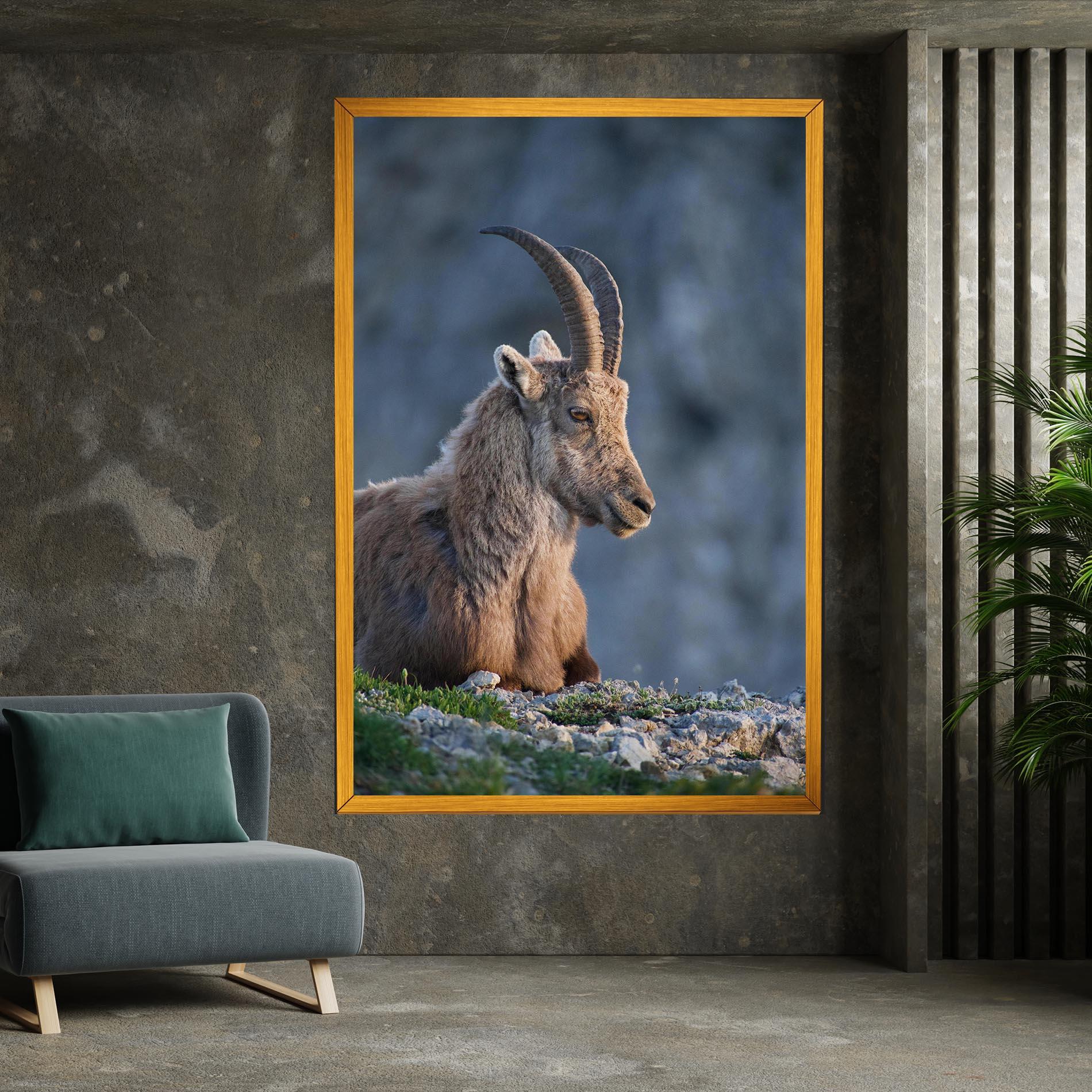 Leinwandbild Mountain Goat mockup 7