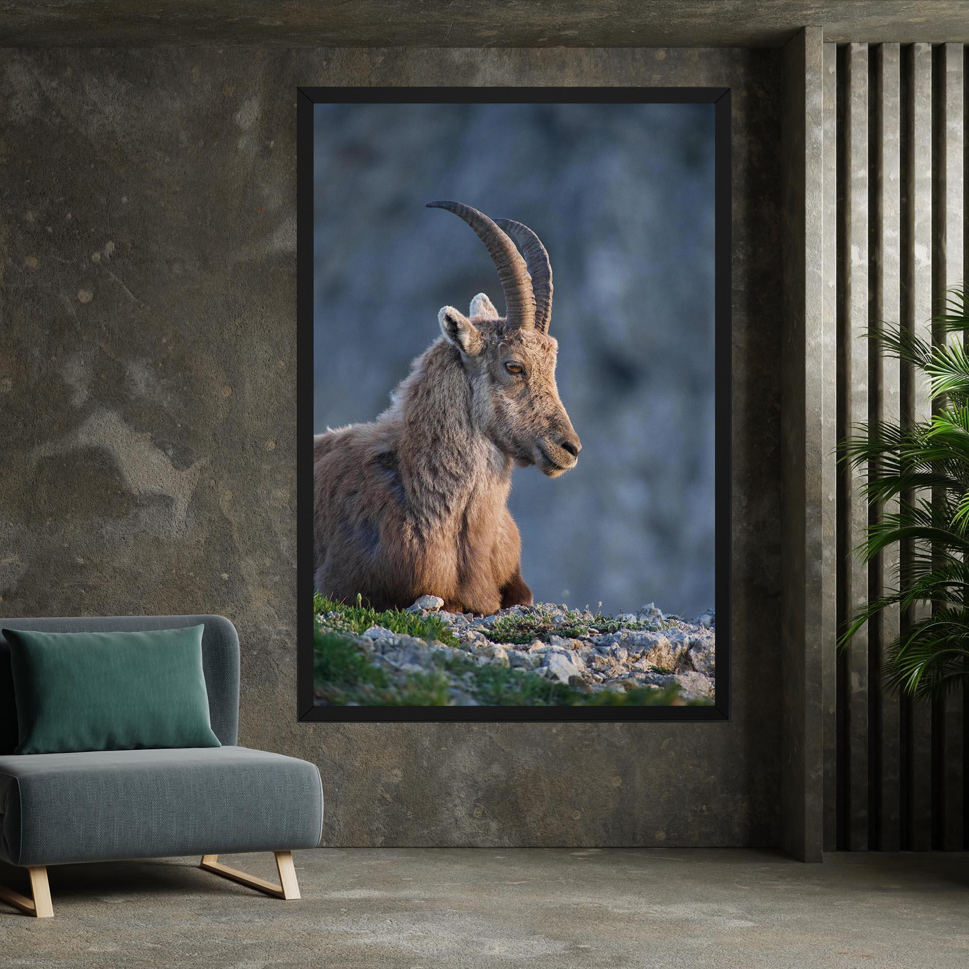 Leinwandbild Mountain Goat mockup 7